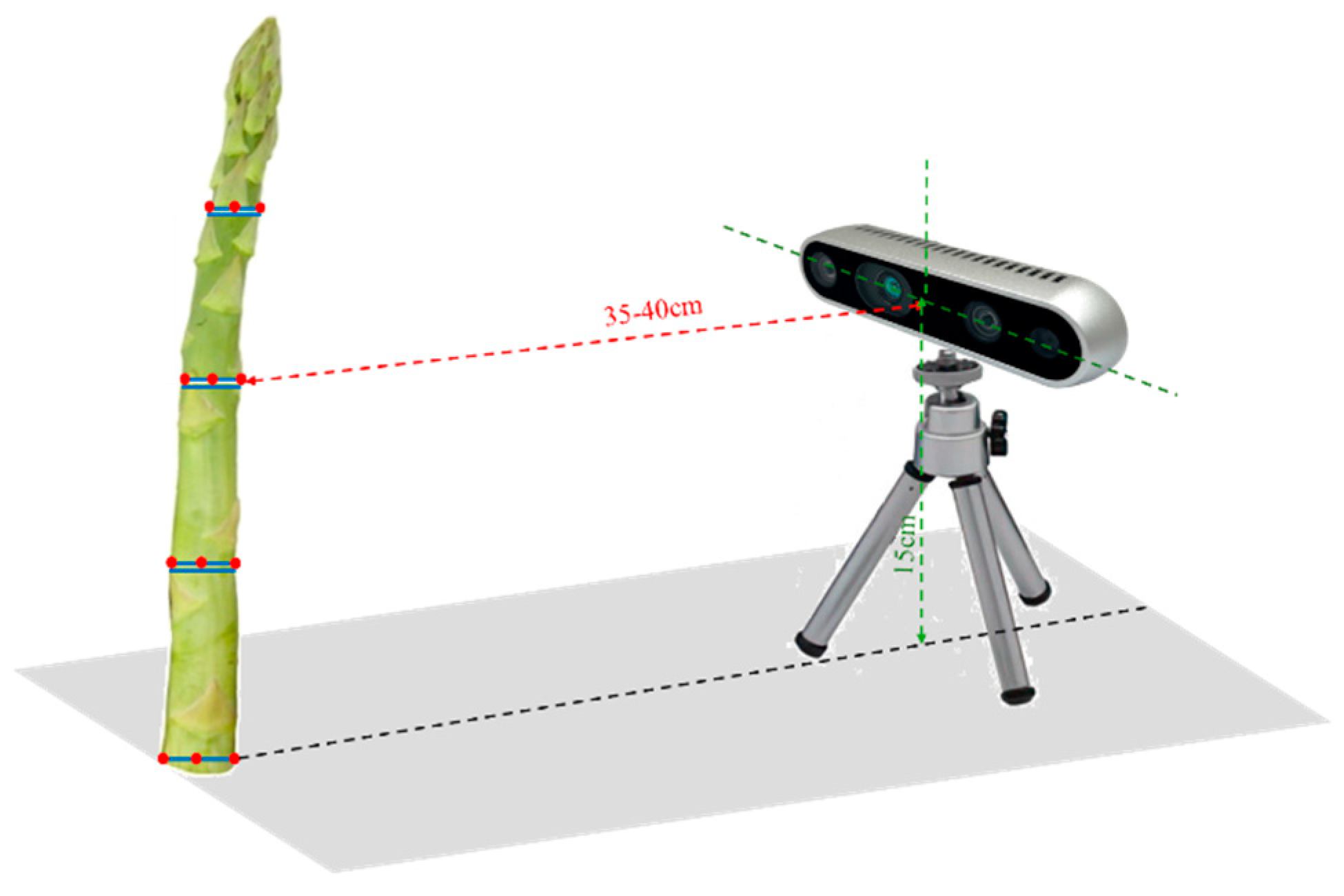 Agriculture 15 00407 g017