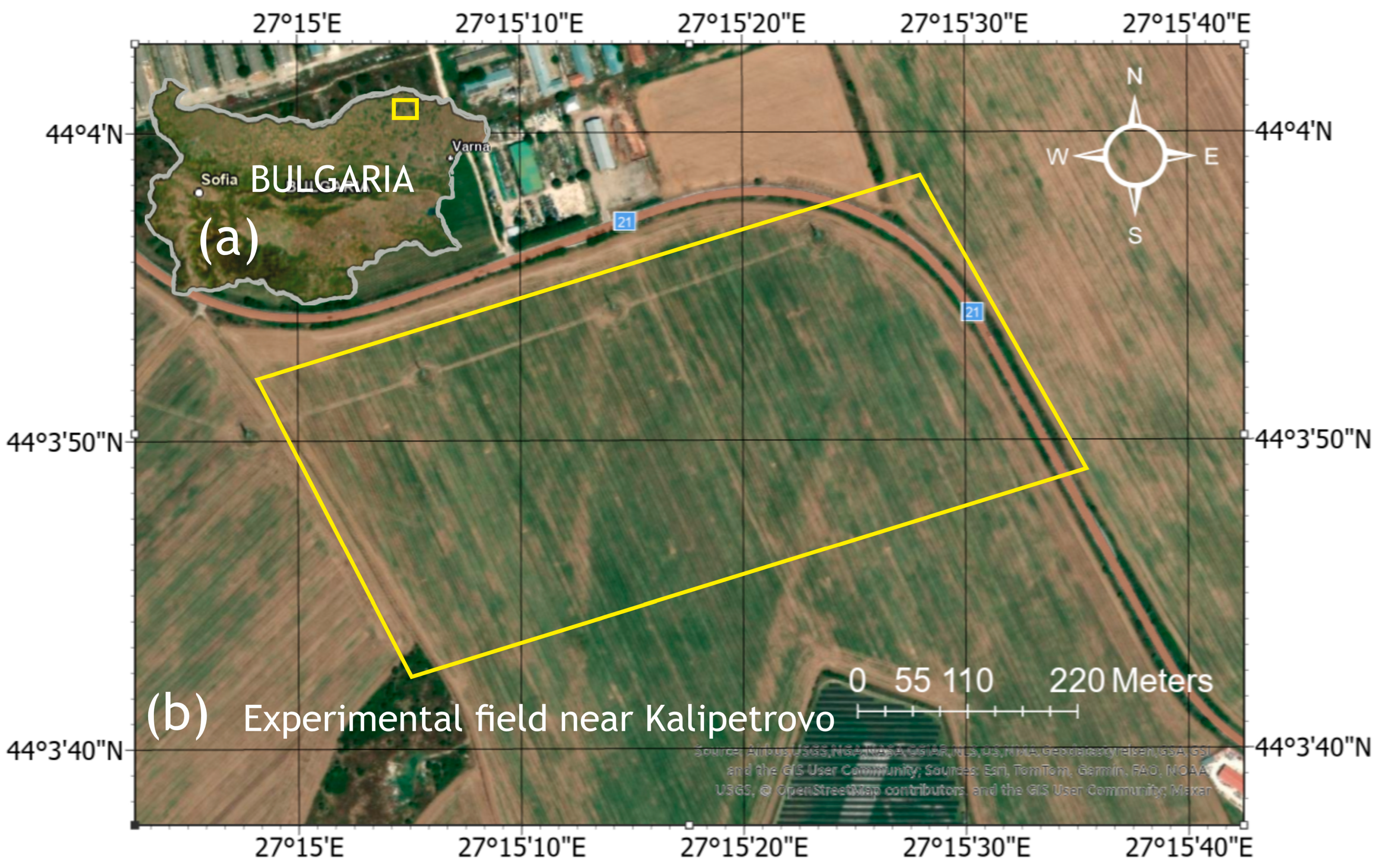 Agriculture 15 00418 g001