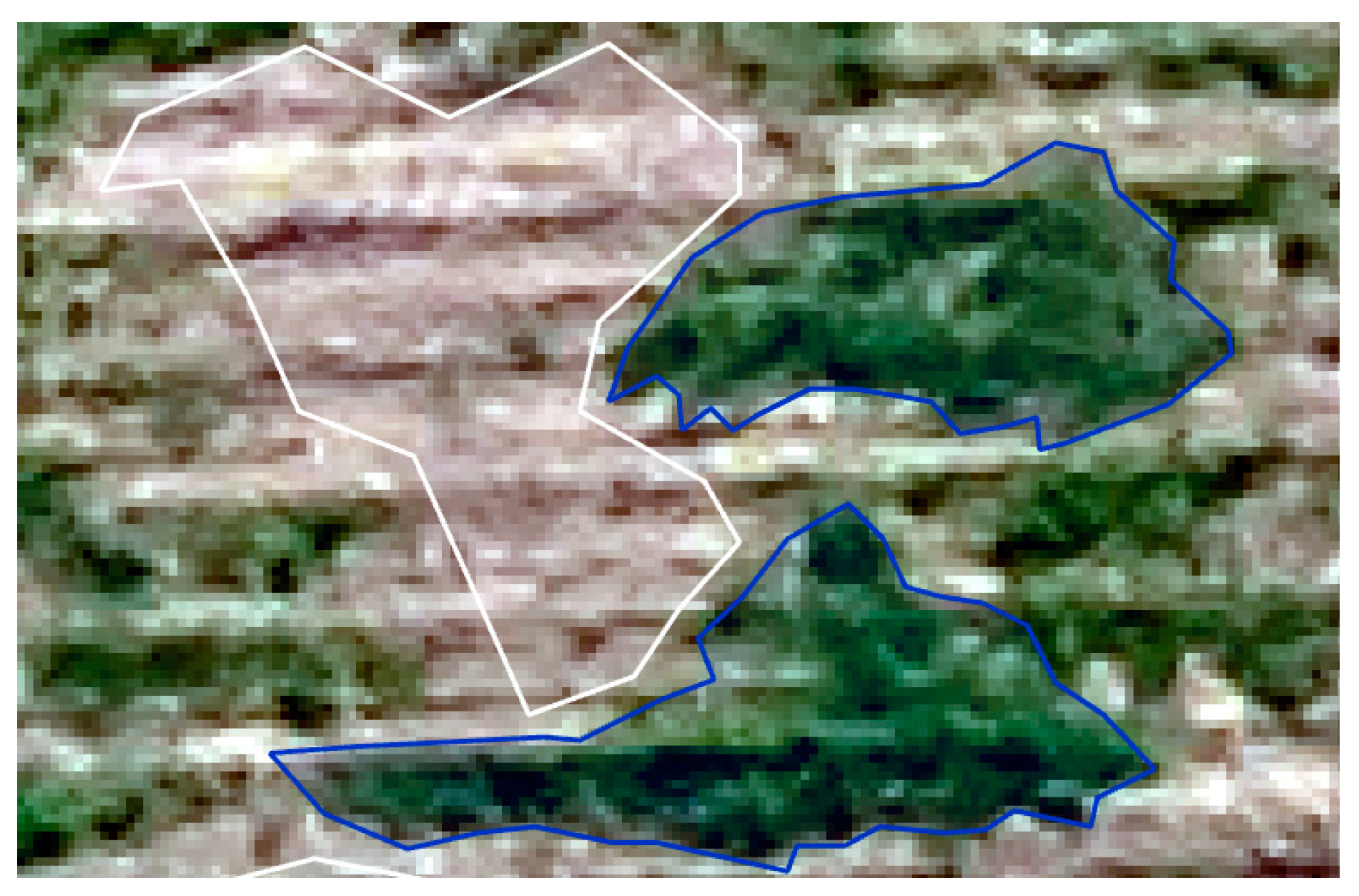 Agriculture 15 00418 g003