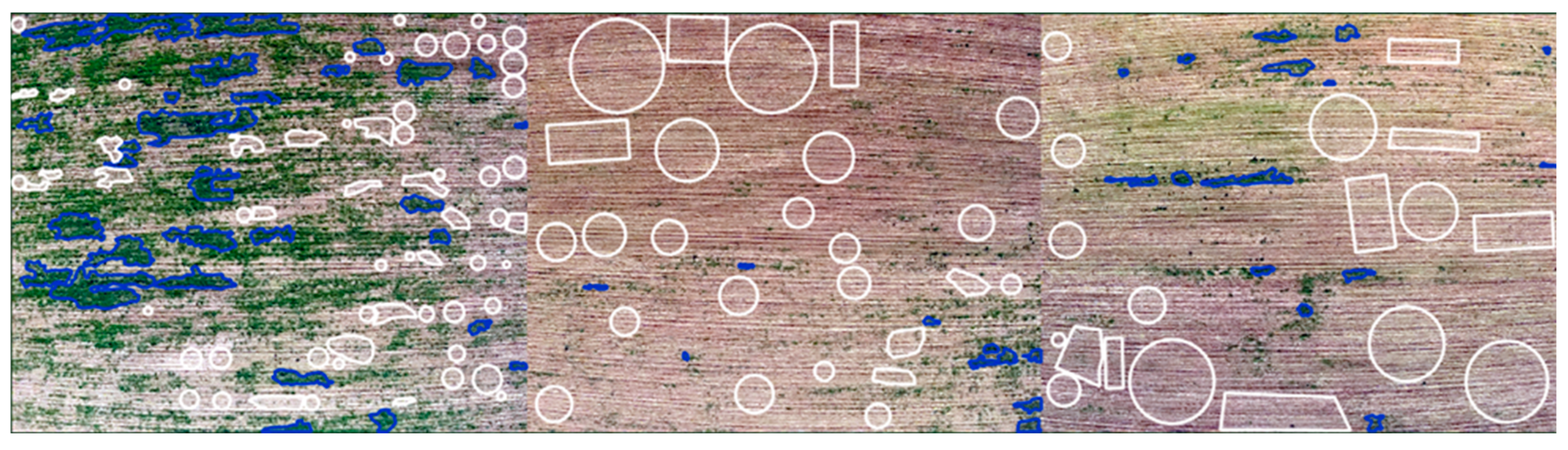 Agriculture 15 00418 g005