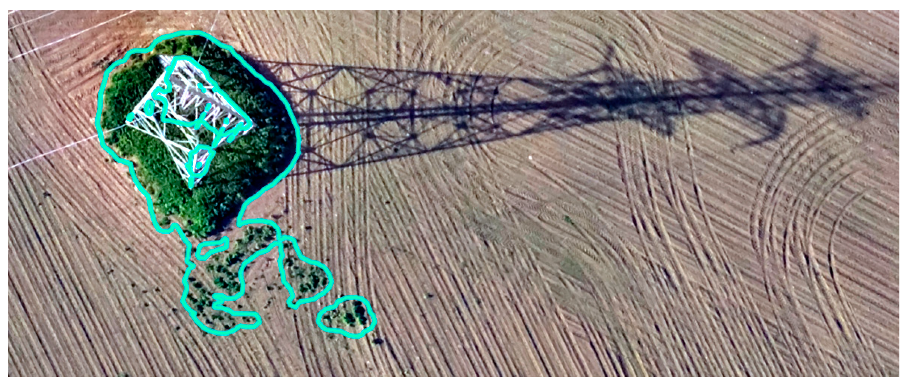 Agriculture 15 00418 g008