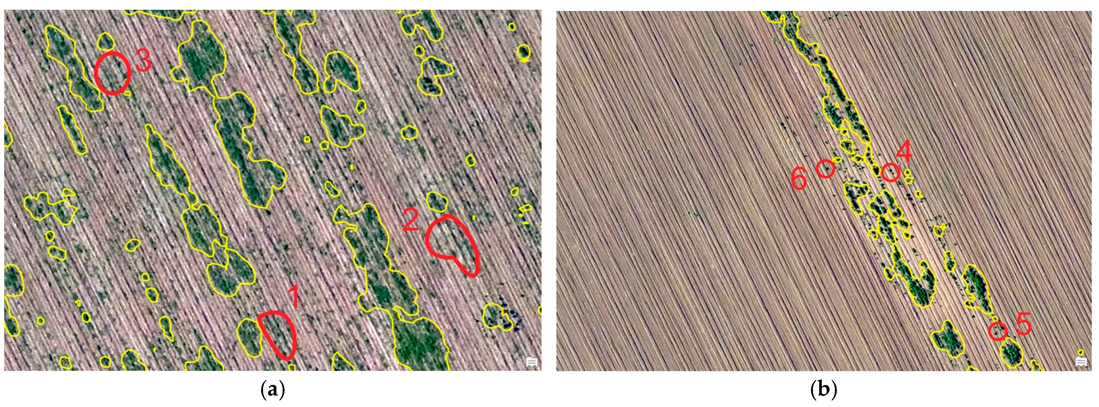 Agriculture 15 00418 g009