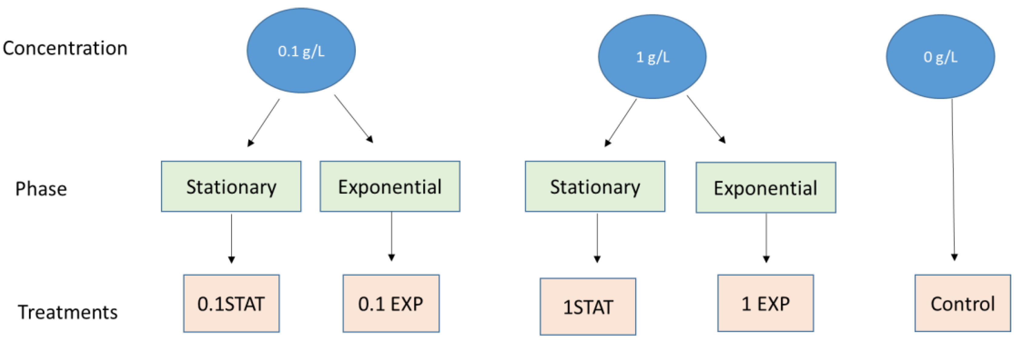 Agriculture 15 00419 g001