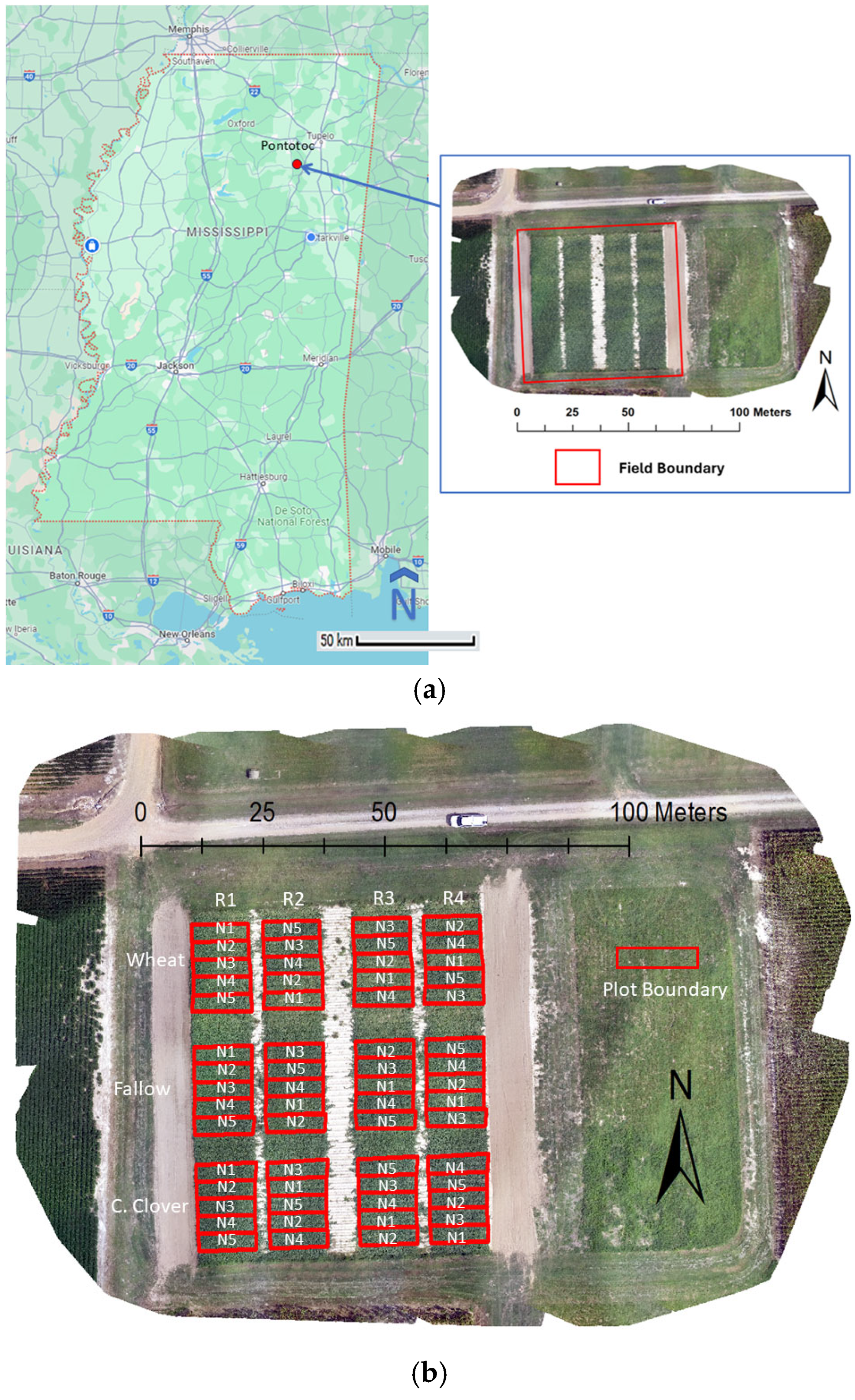 Agriculture 15 00420 g001