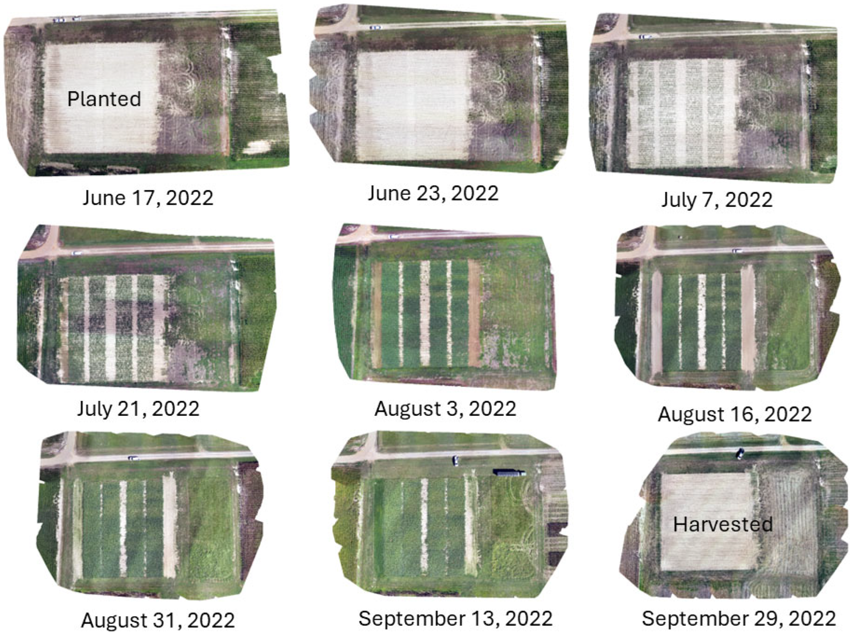 Agriculture 15 00420 g004