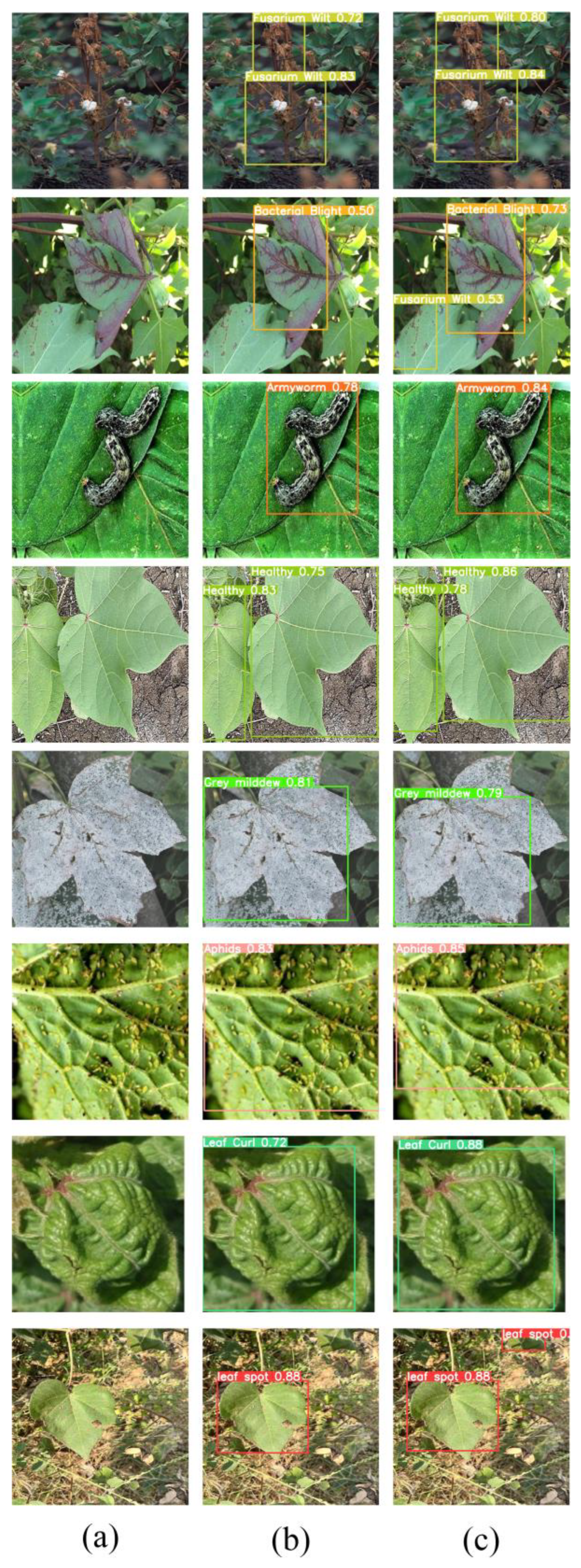 Agriculture 15 00421 g011