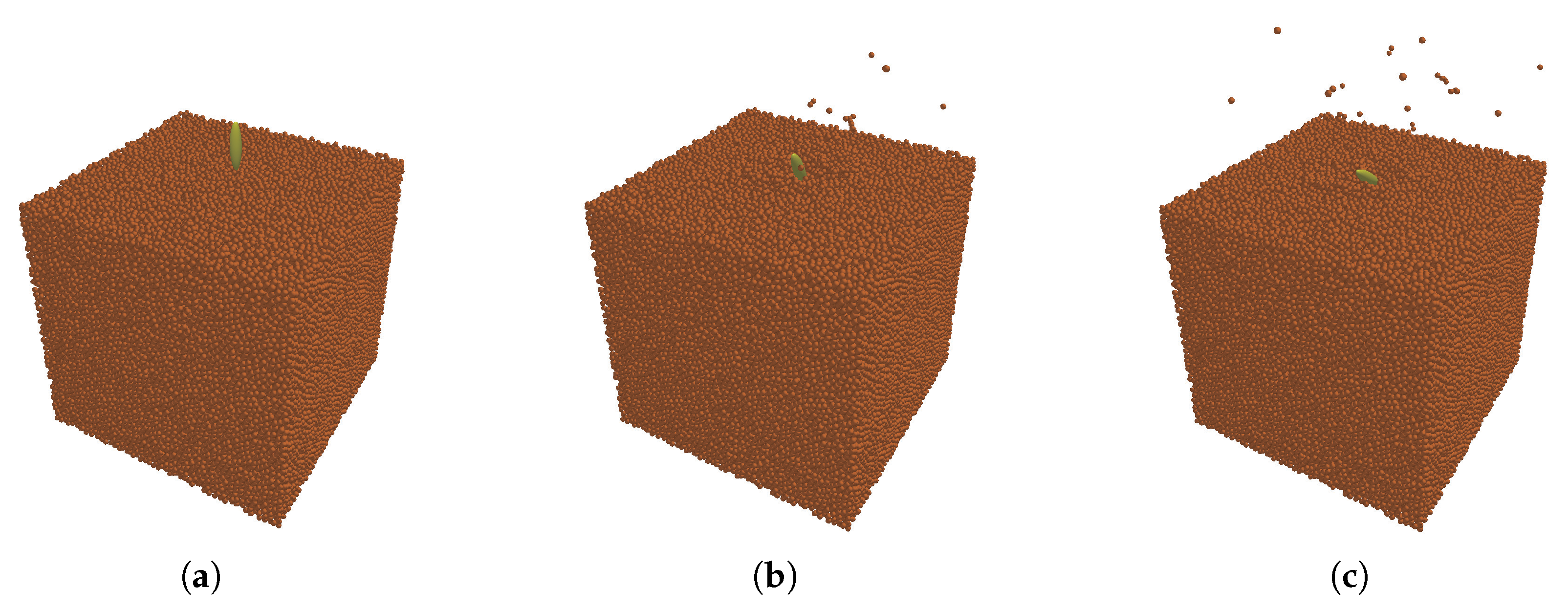 Agriculture 15 00422 g011