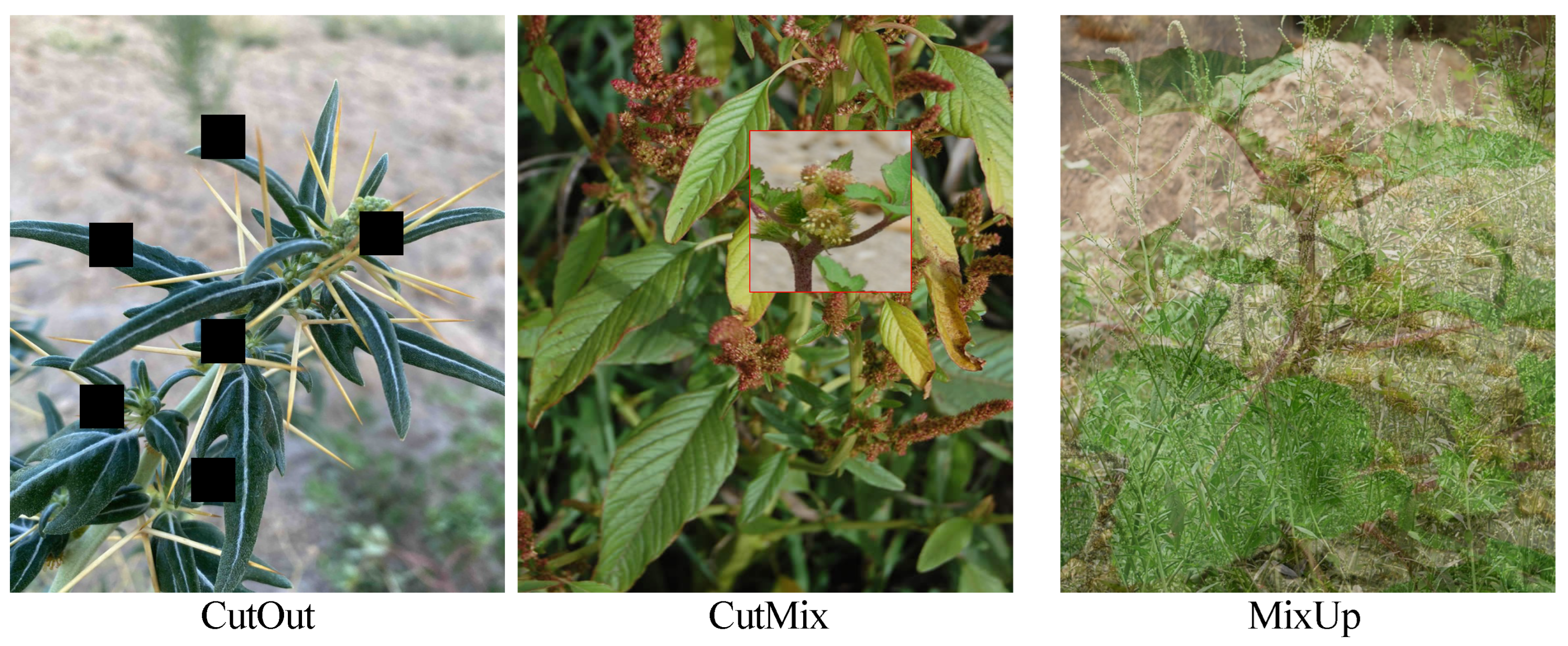 Agriculture 15 00434 g002