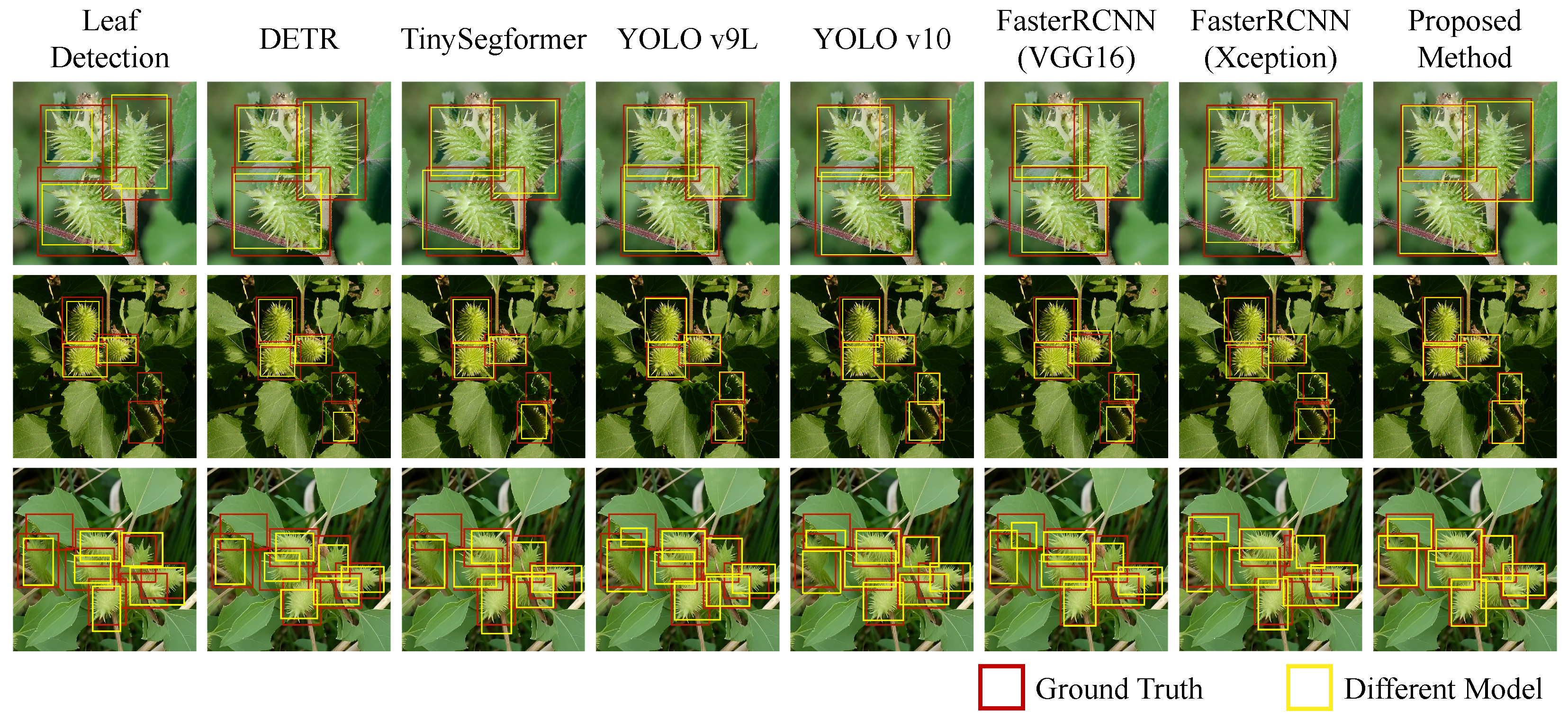 Agriculture 15 00434 g006