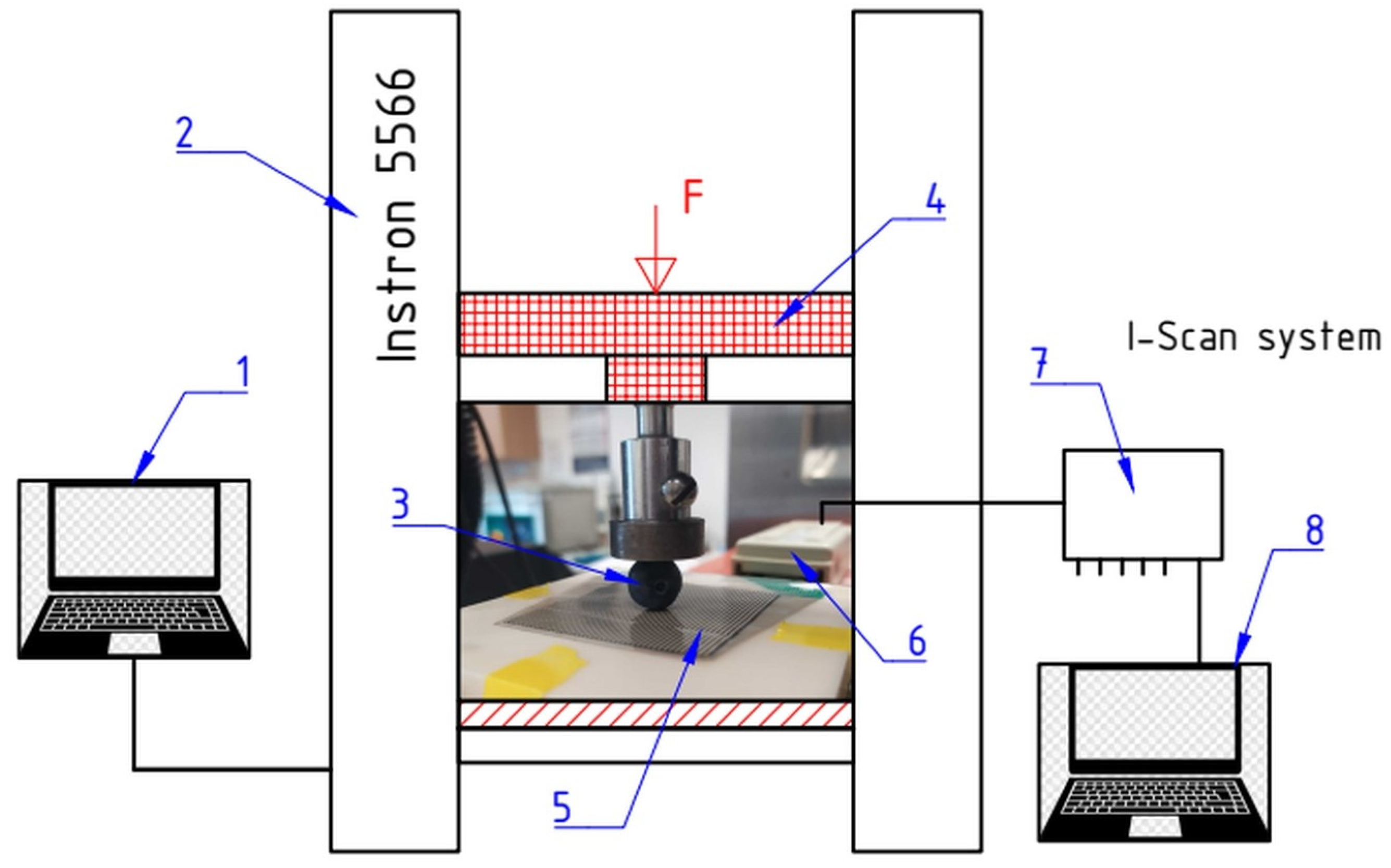 Agriculture 15 00438 g004