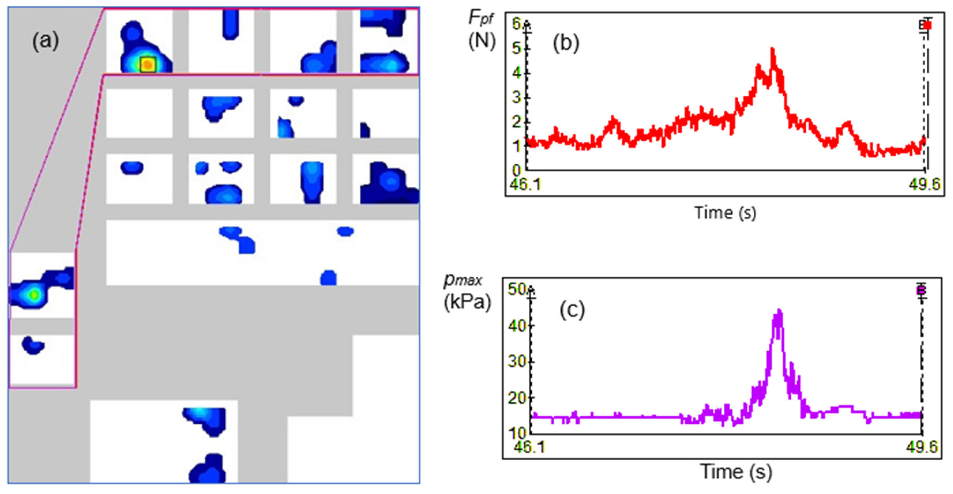 Agriculture 15 00438 g008