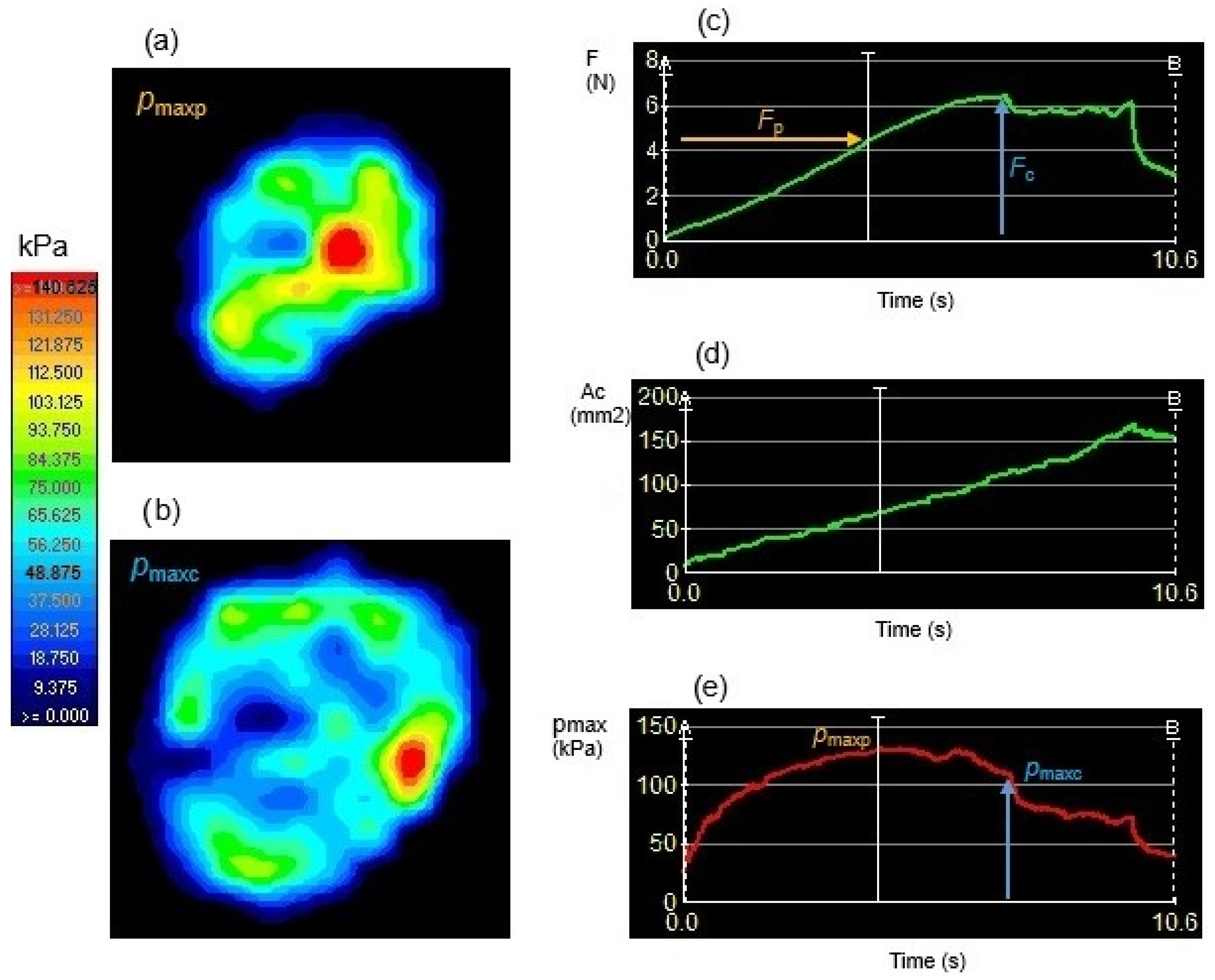 Agriculture 15 00438 g010