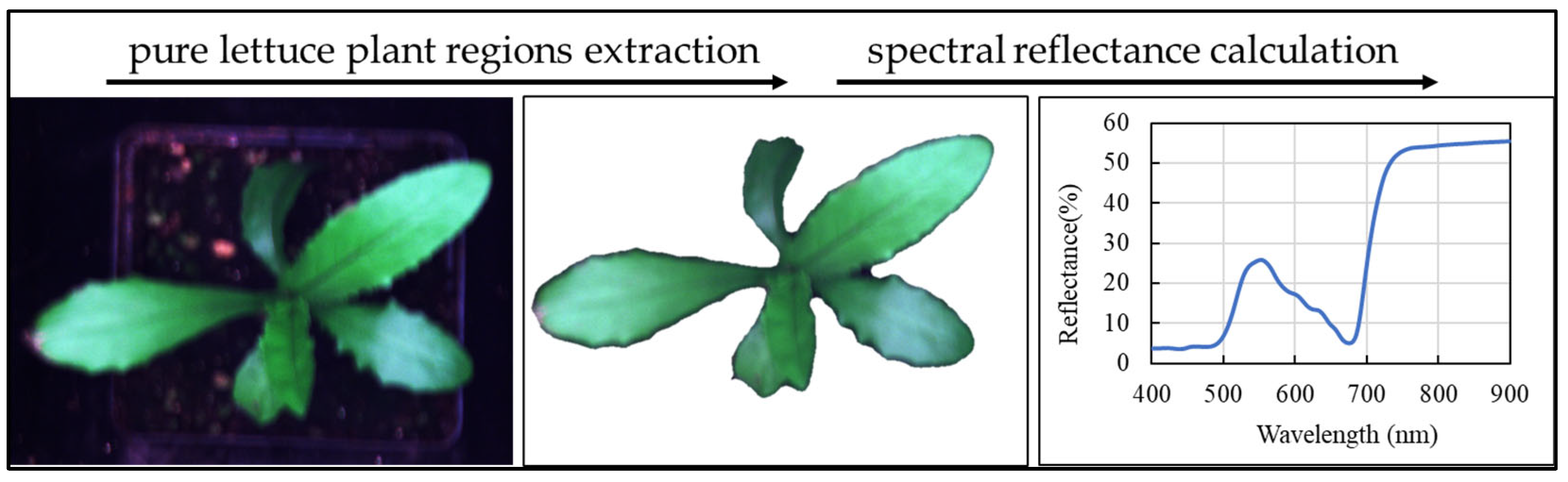 Agriculture 15 00444 g003