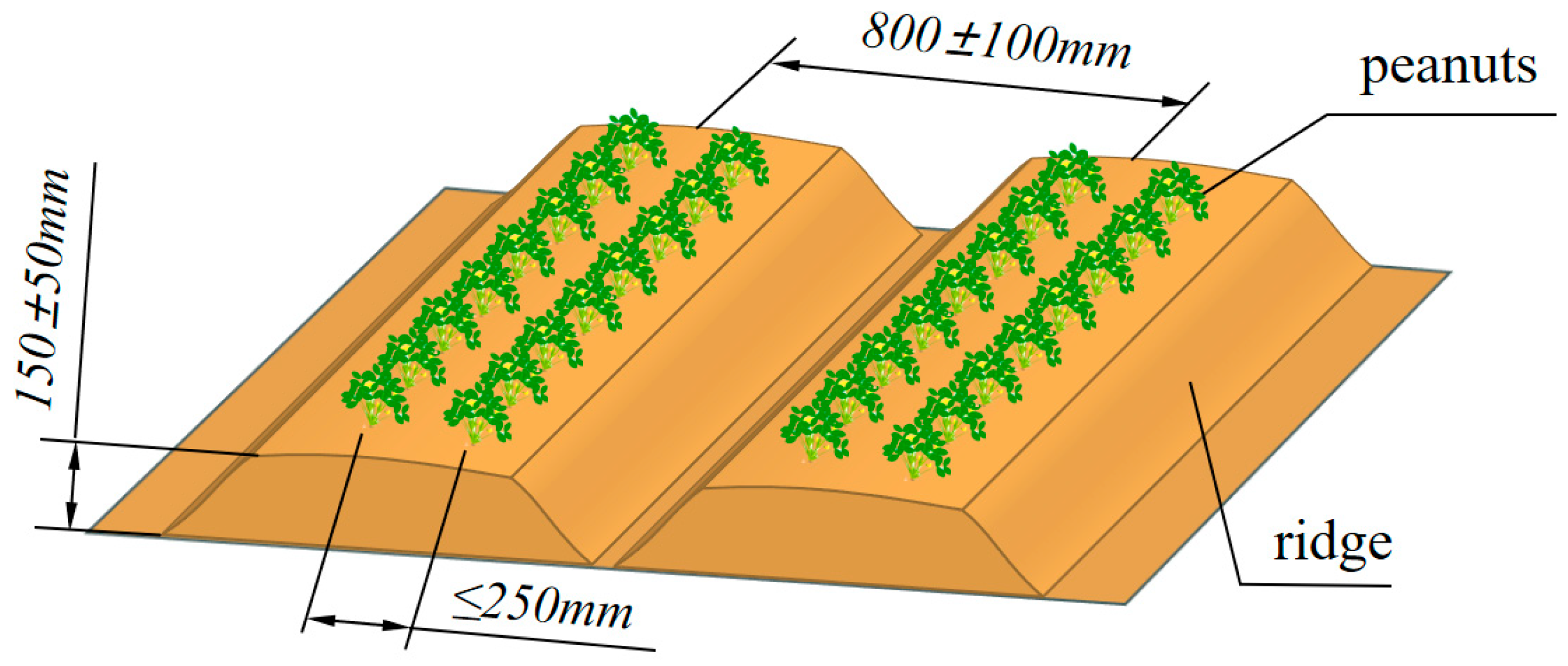 Agriculture 15 00457 g004