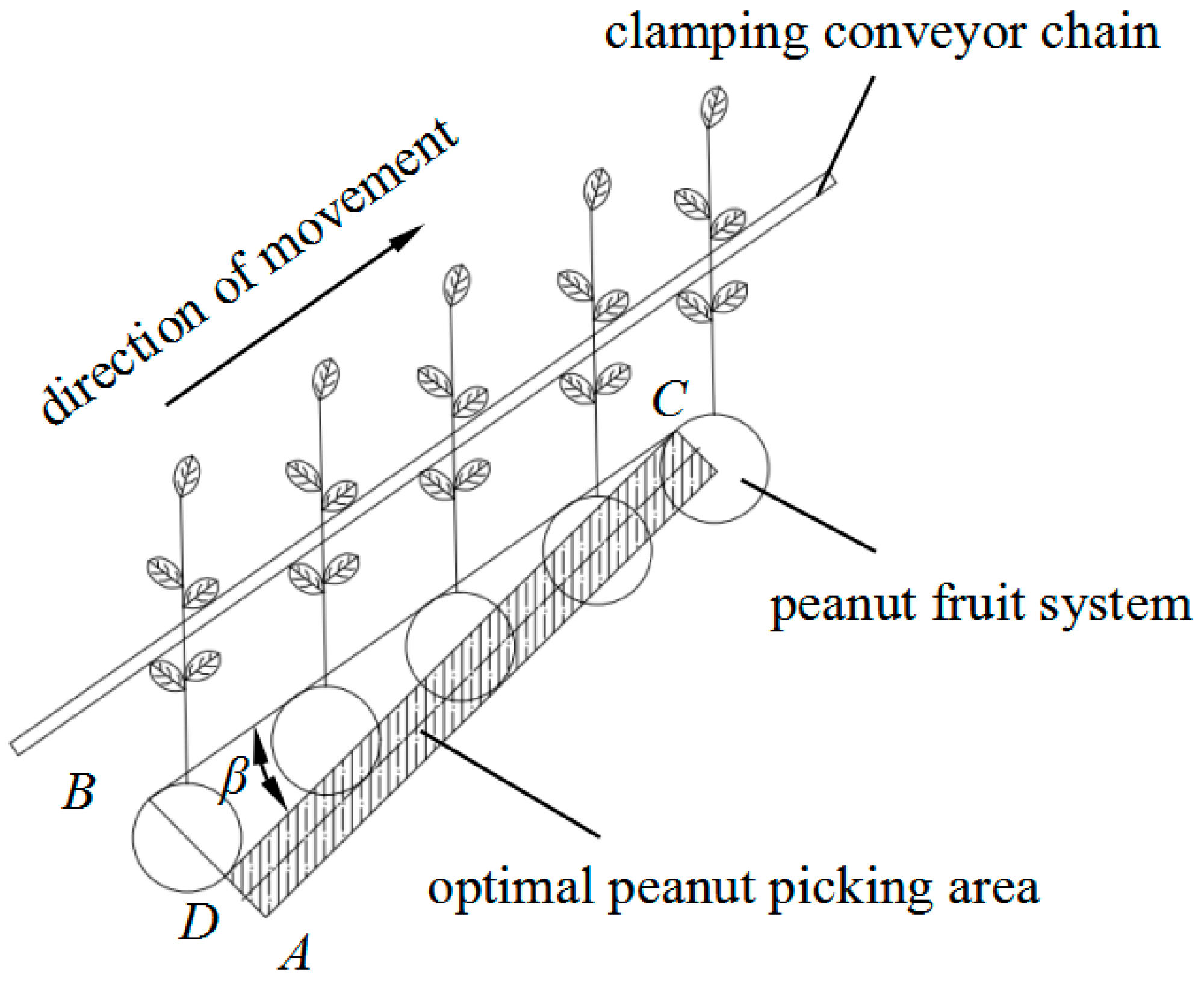 Agriculture 15 00457 g009