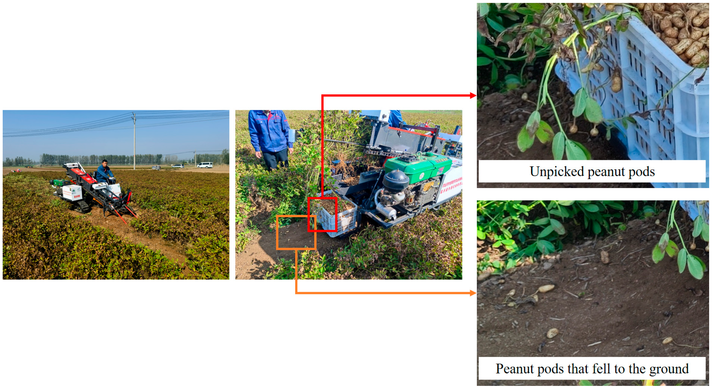 Agriculture 15 00457 g013