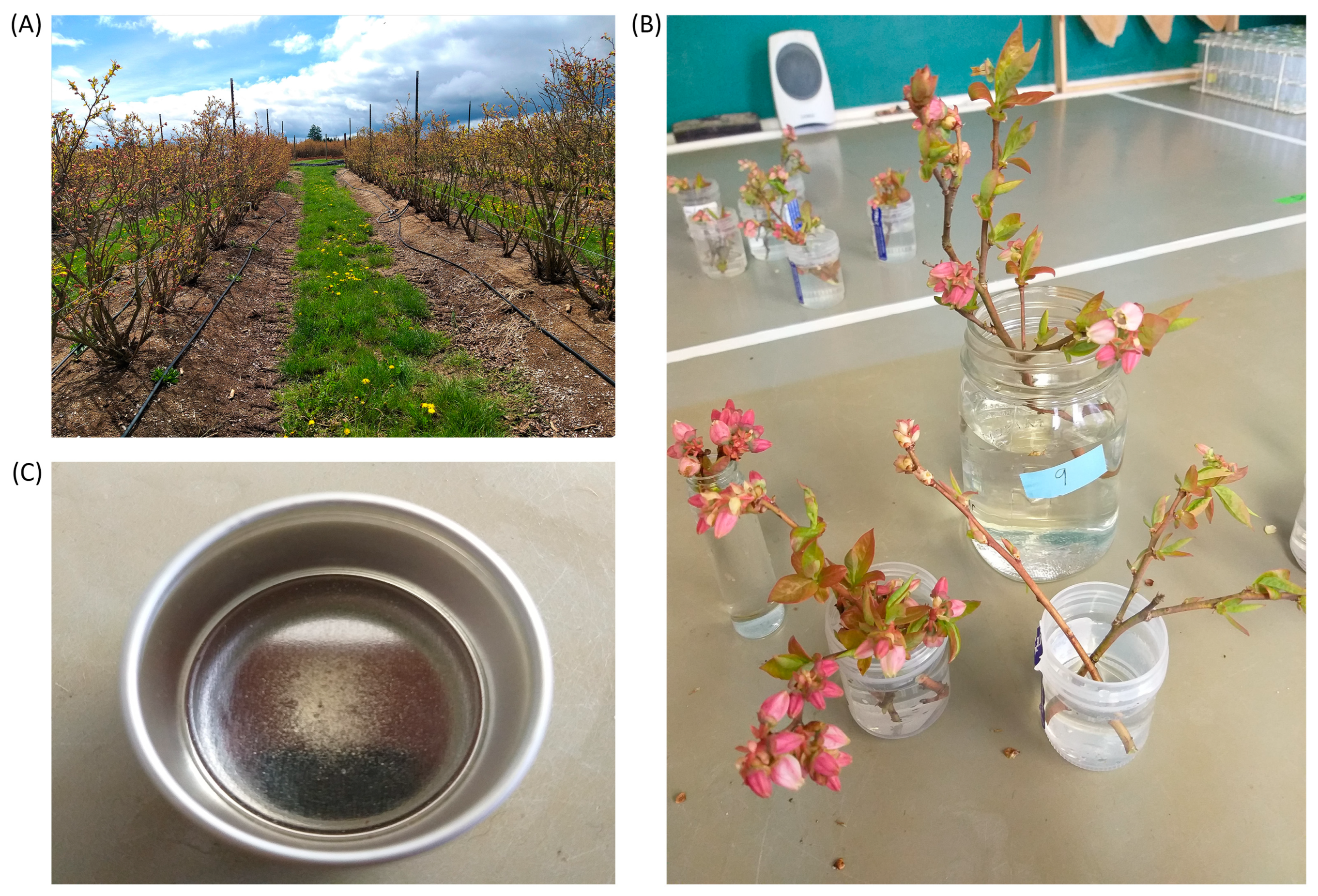 Agriculture 15 00461 g001