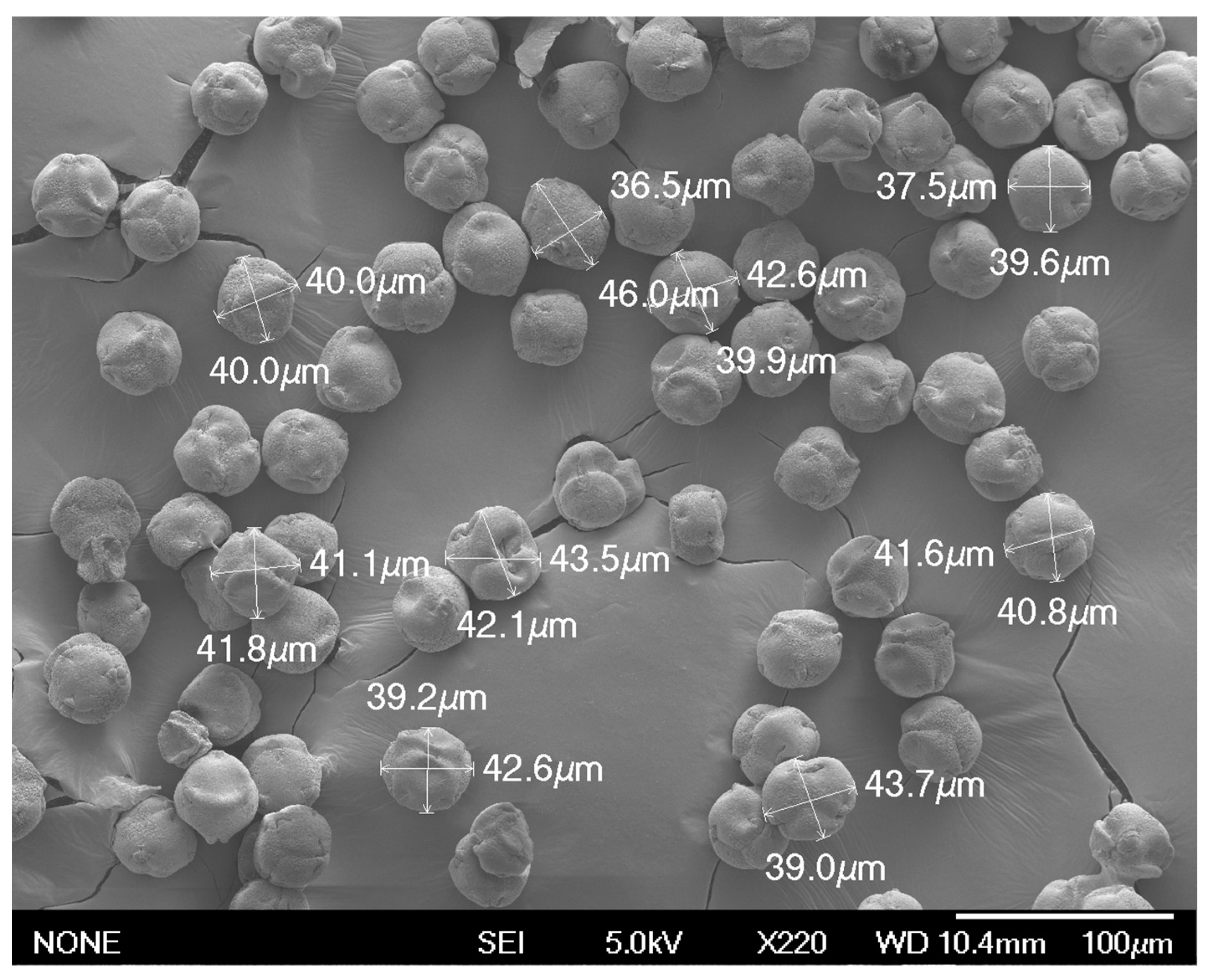 Agriculture 15 00461 g003