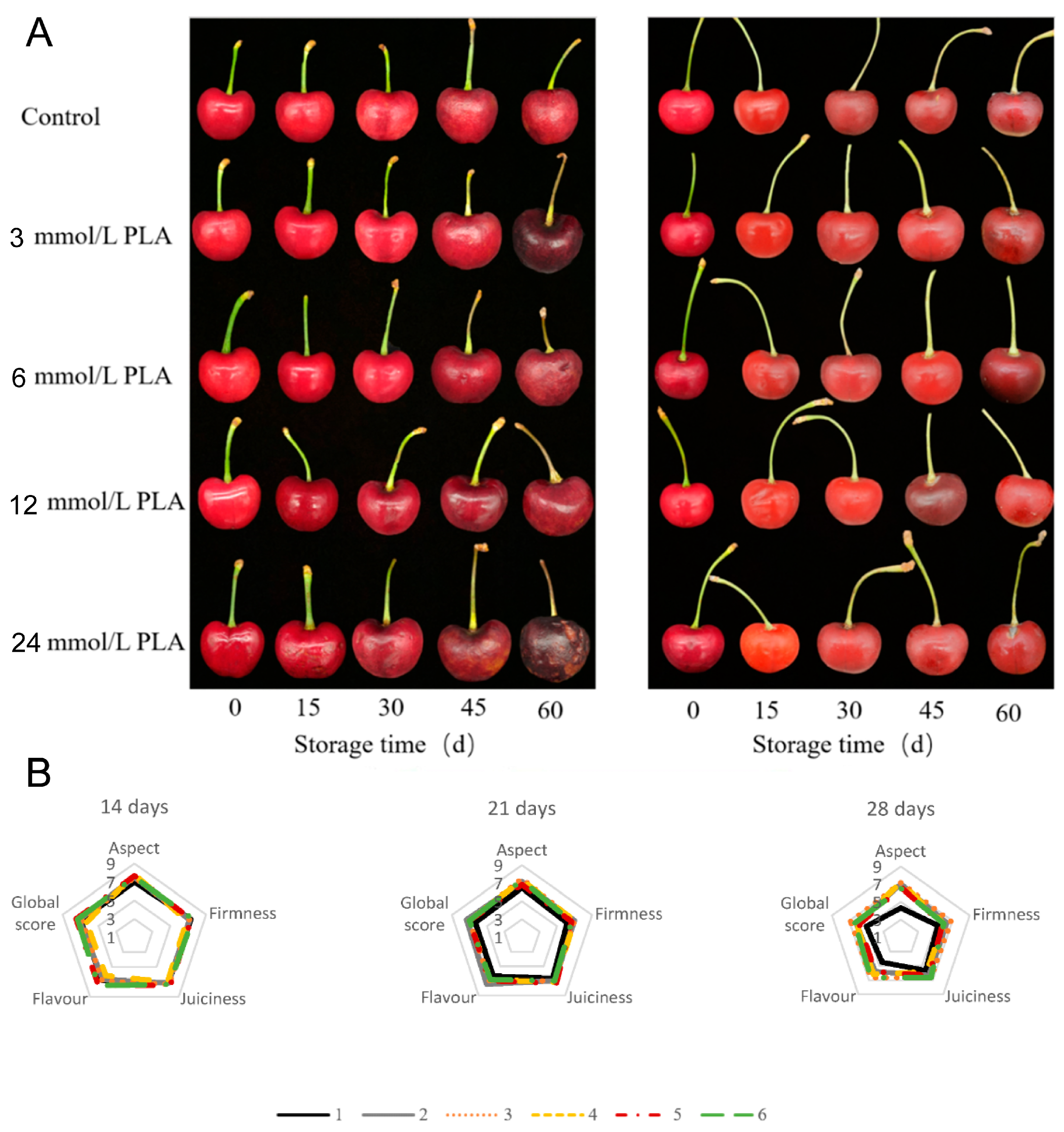 Agriculture 15 00462 g001