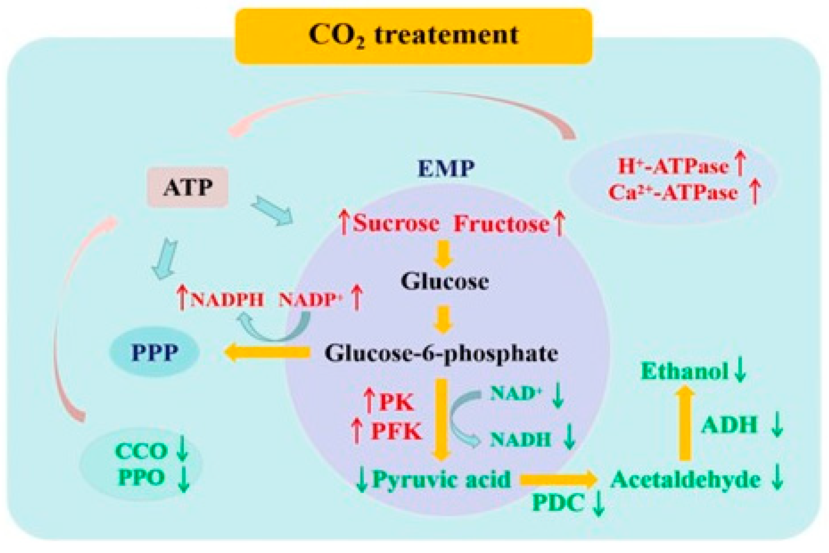 Agriculture 15 00462 g002