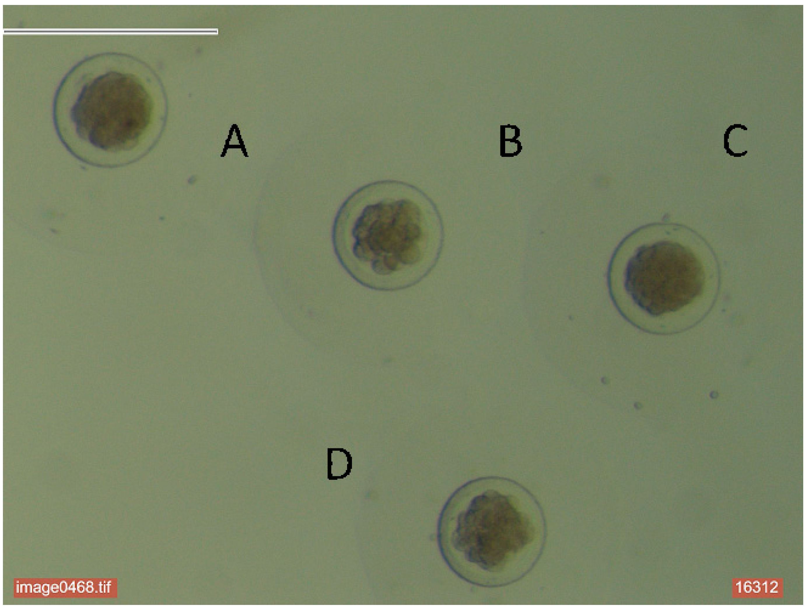 Agriculture 15 00471 g001 Agriculture 15 00471 g001