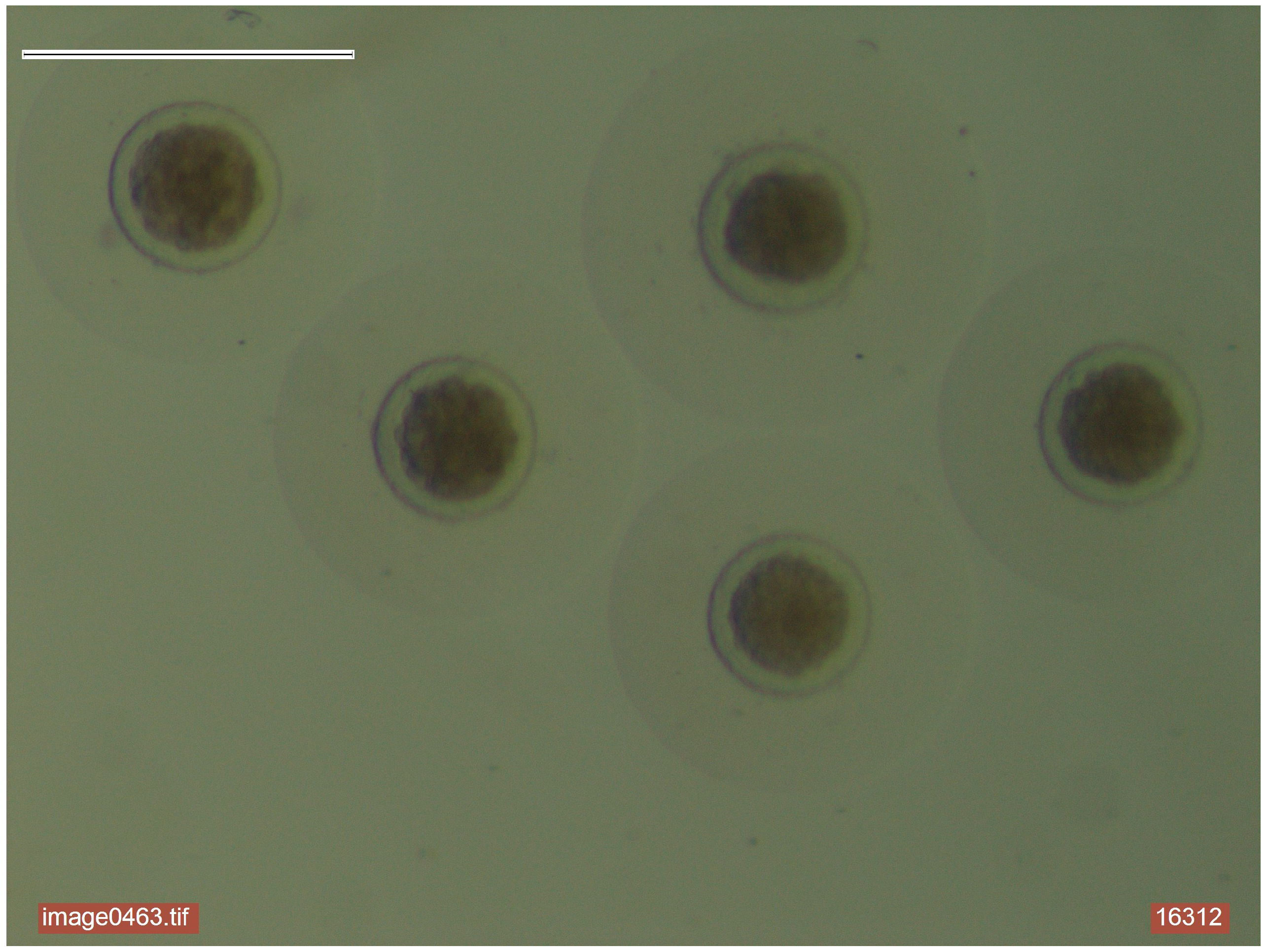 Agriculture 15 00471 g002 Agriculture 15 00471 g002