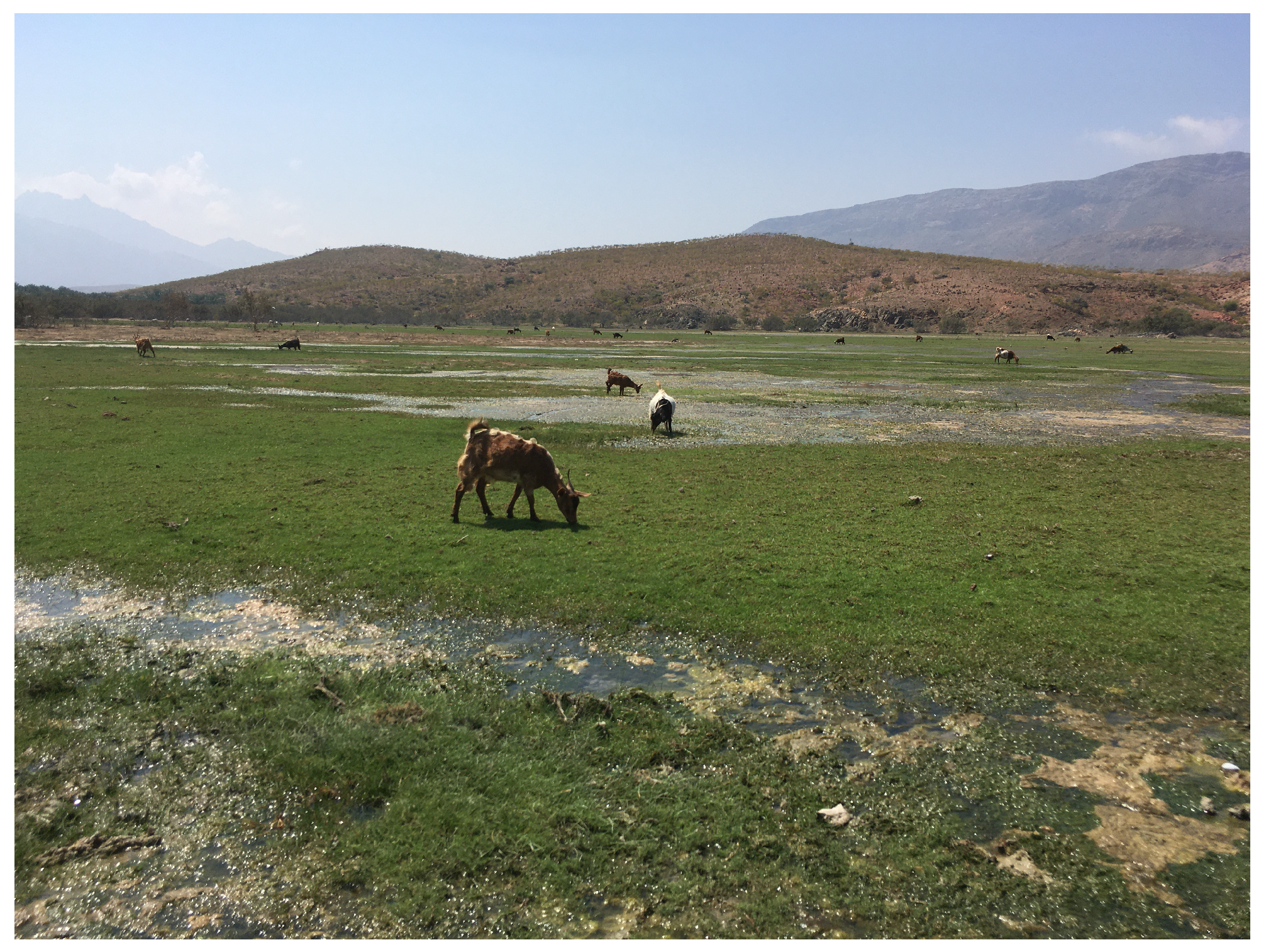 Agriculture 15 00475 g005 Agriculture 15 00475 g005