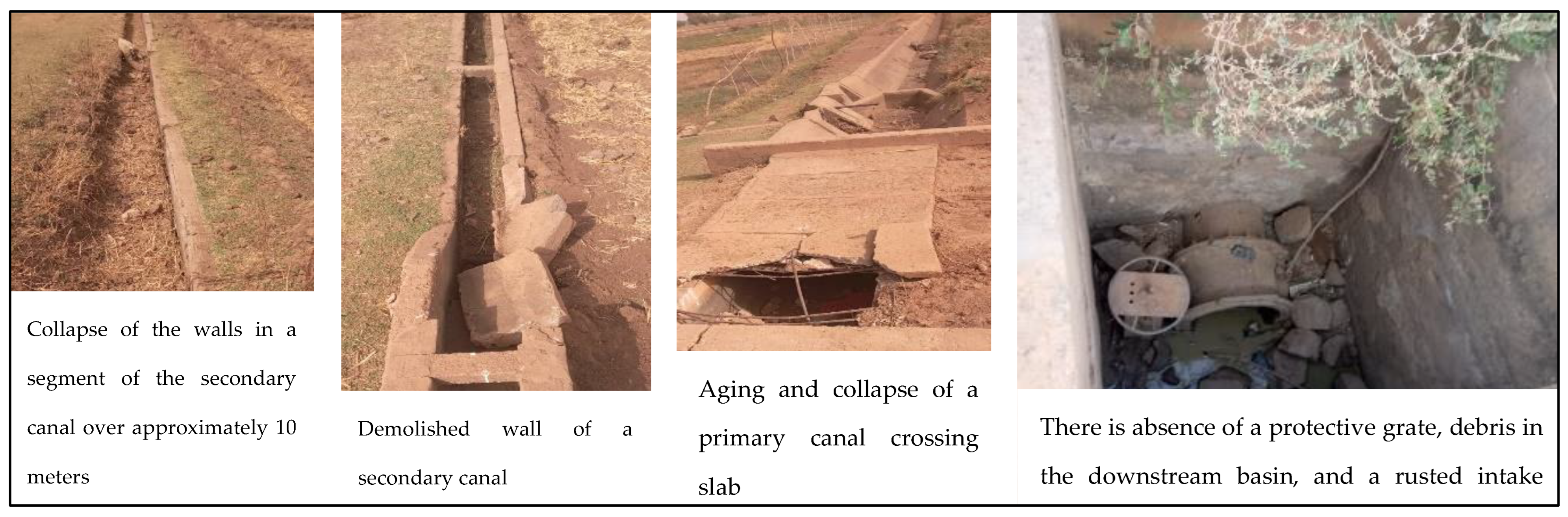 Agriculture 15 00477 g004 Agriculture 15 00477 g004