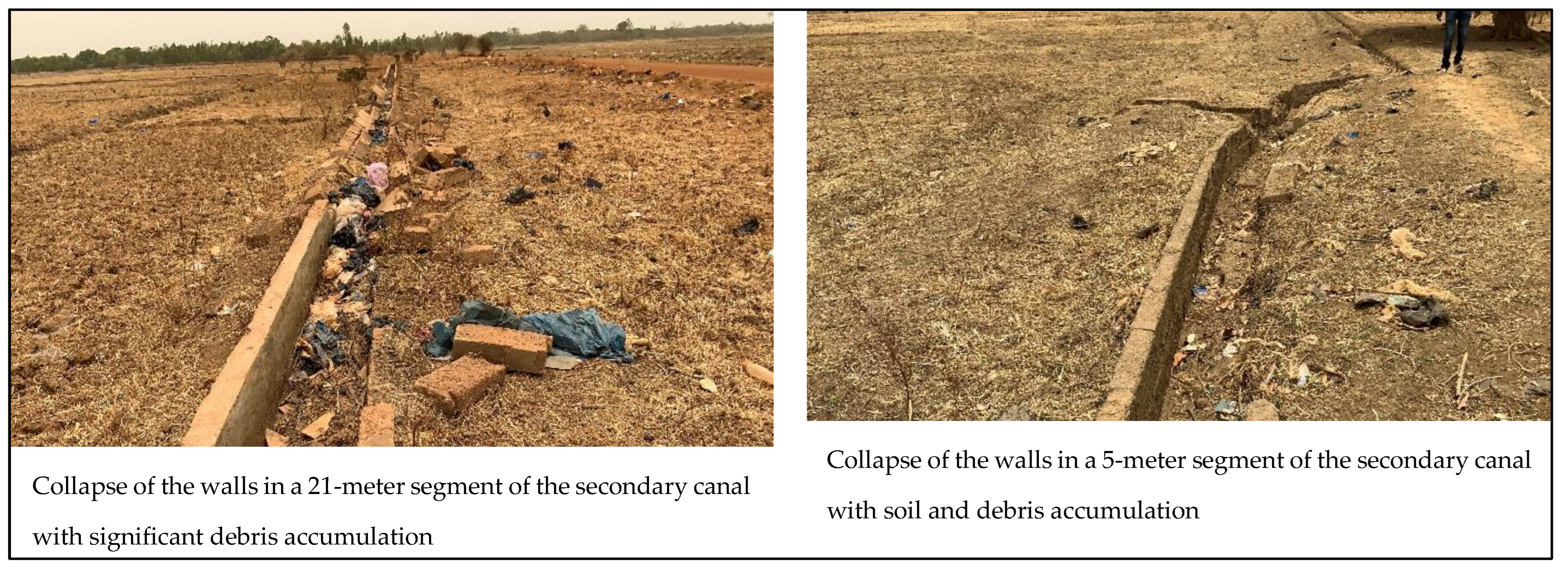 Agriculture 15 00477 g005 Agriculture 15 00477 g005