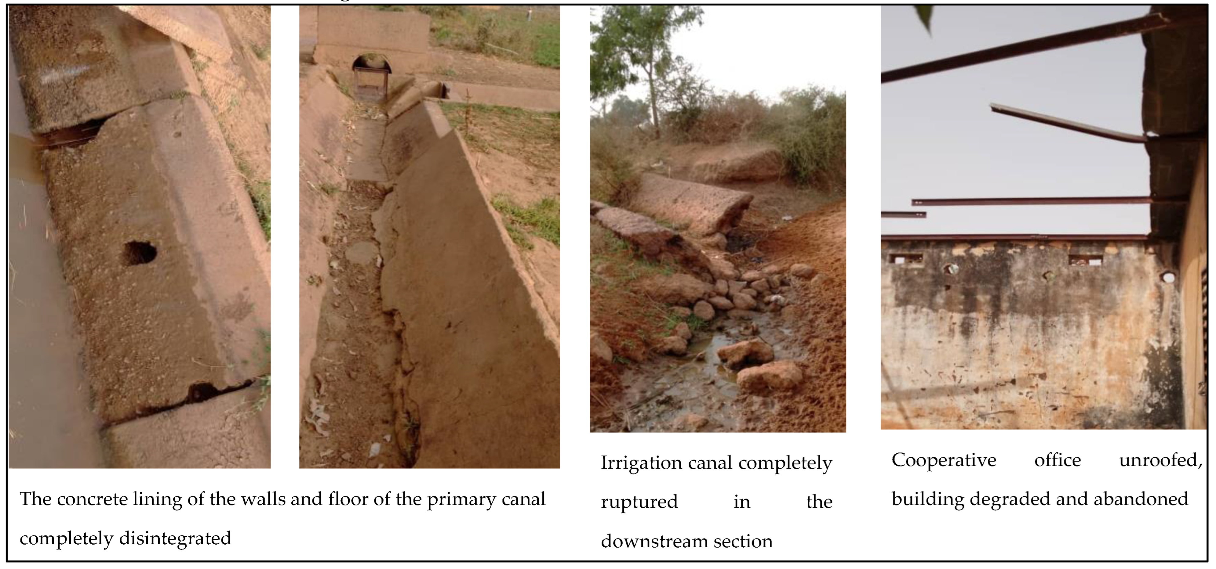 Agriculture 15 00477 g006 Agriculture 15 00477 g006