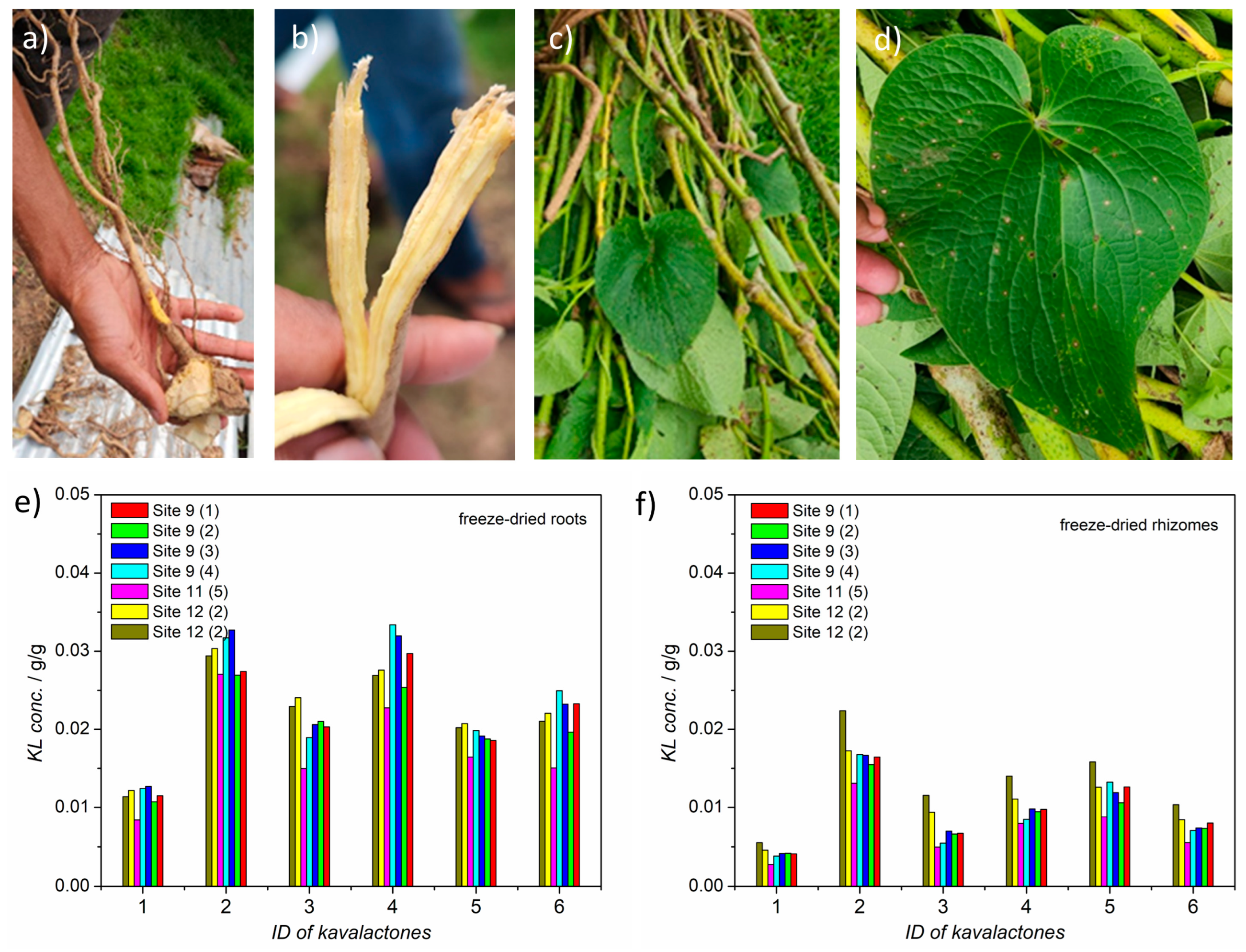 Agriculture 15 00478 g004