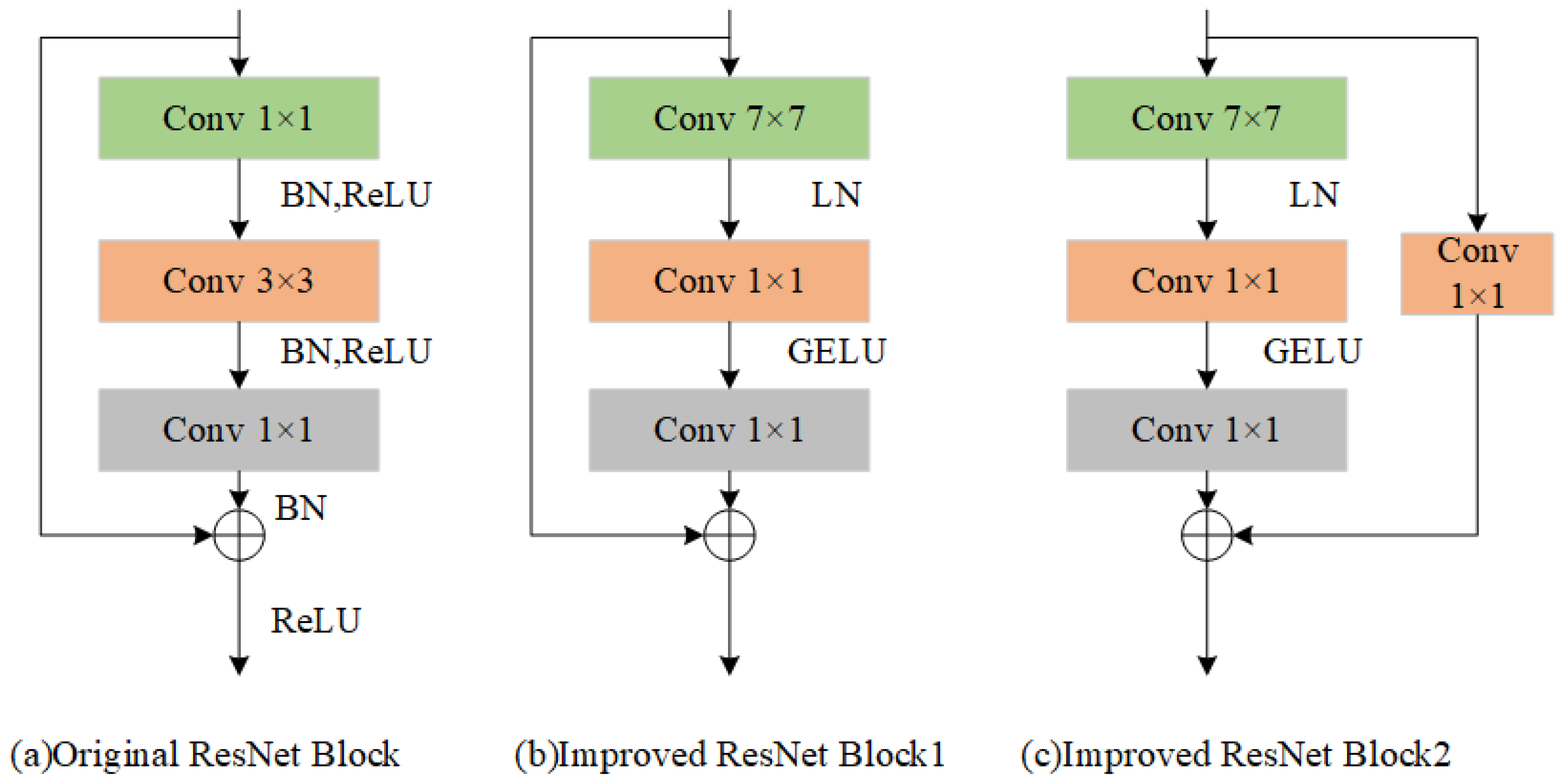 Agriculture 15 00481 g005