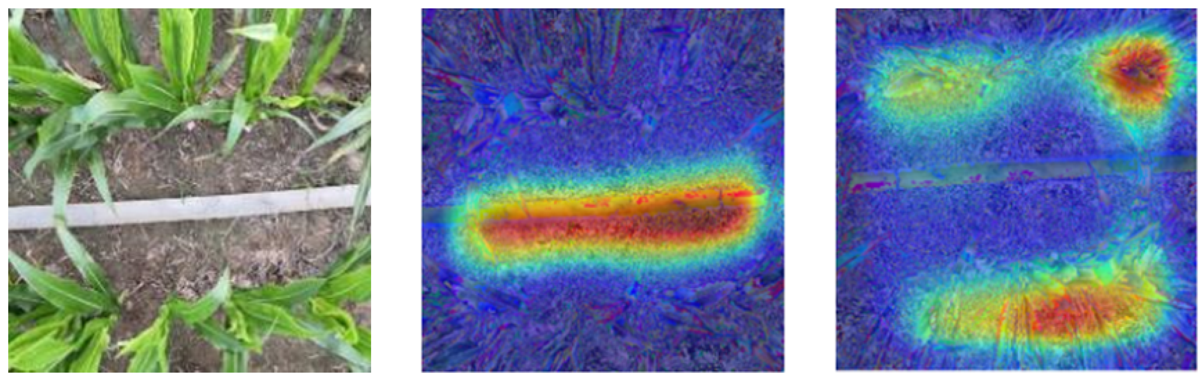 Agriculture 15 00481 g011