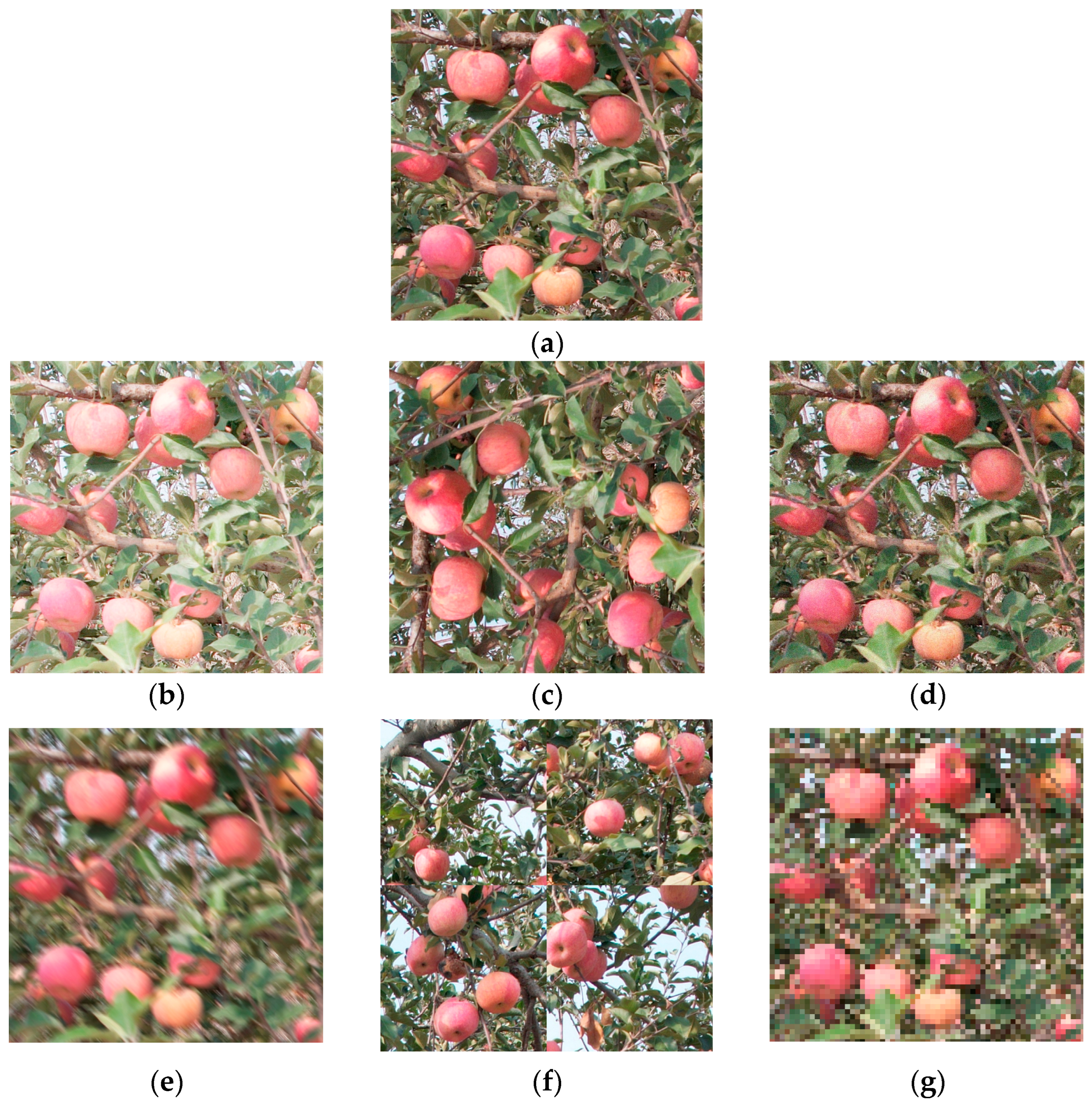 Agriculture 15 00483 g002