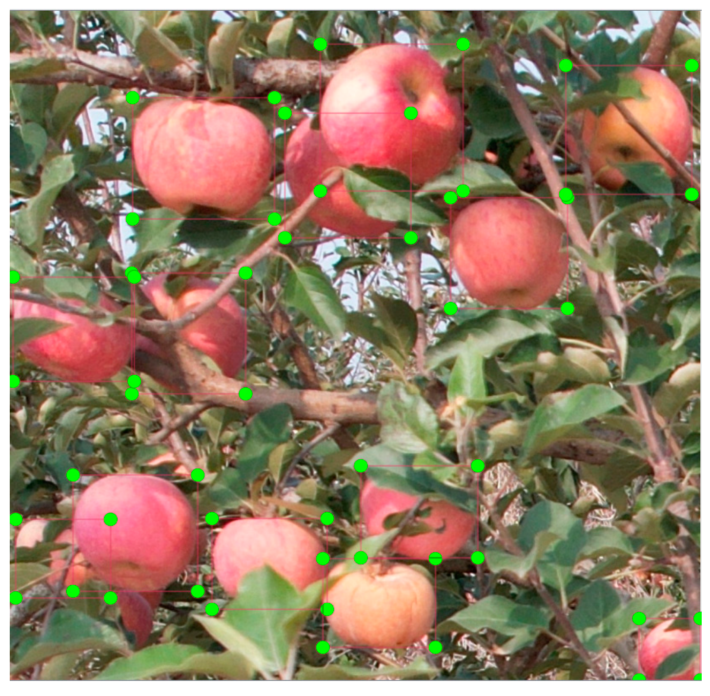 Agriculture 15 00483 g005