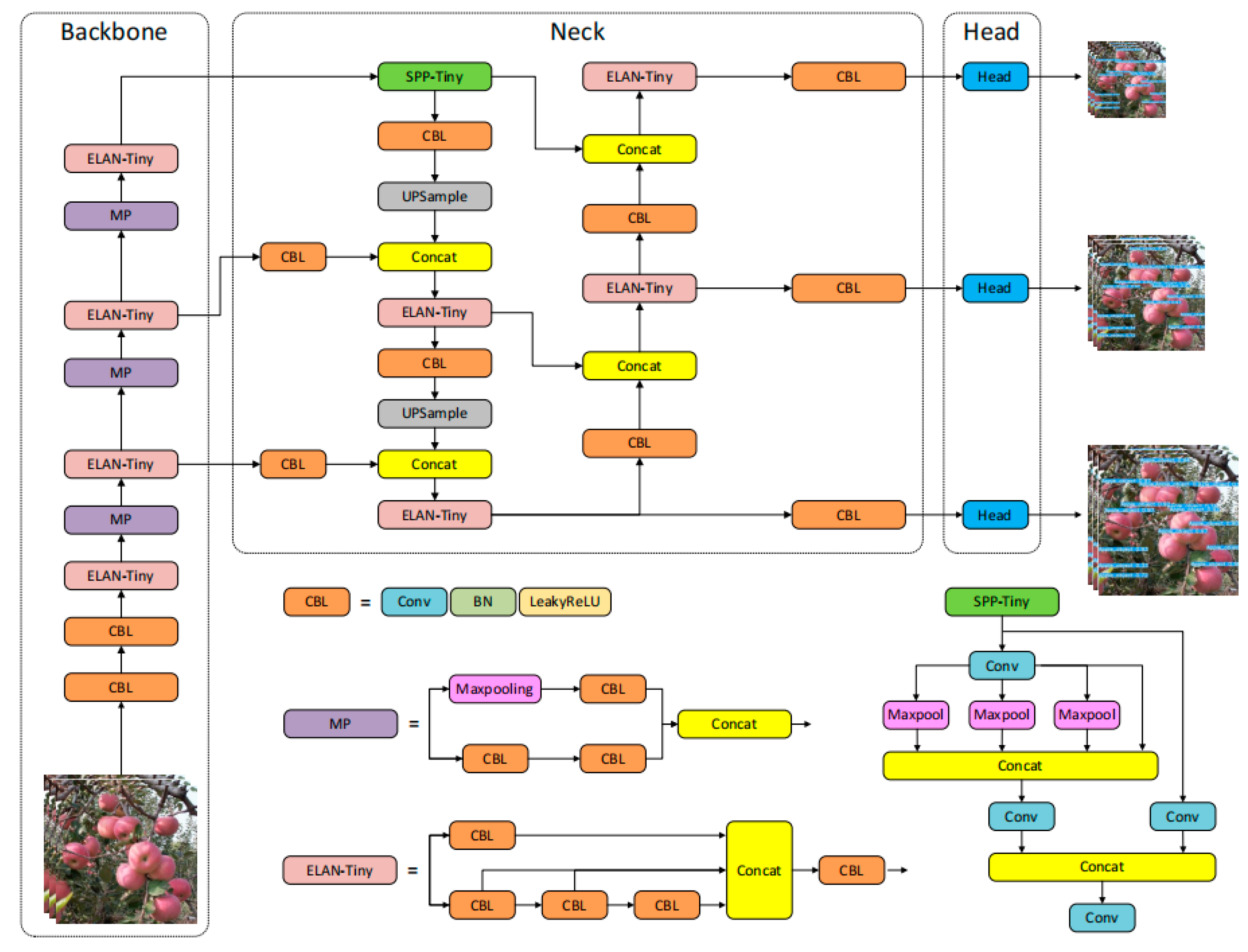 Agriculture 15 00483 g006