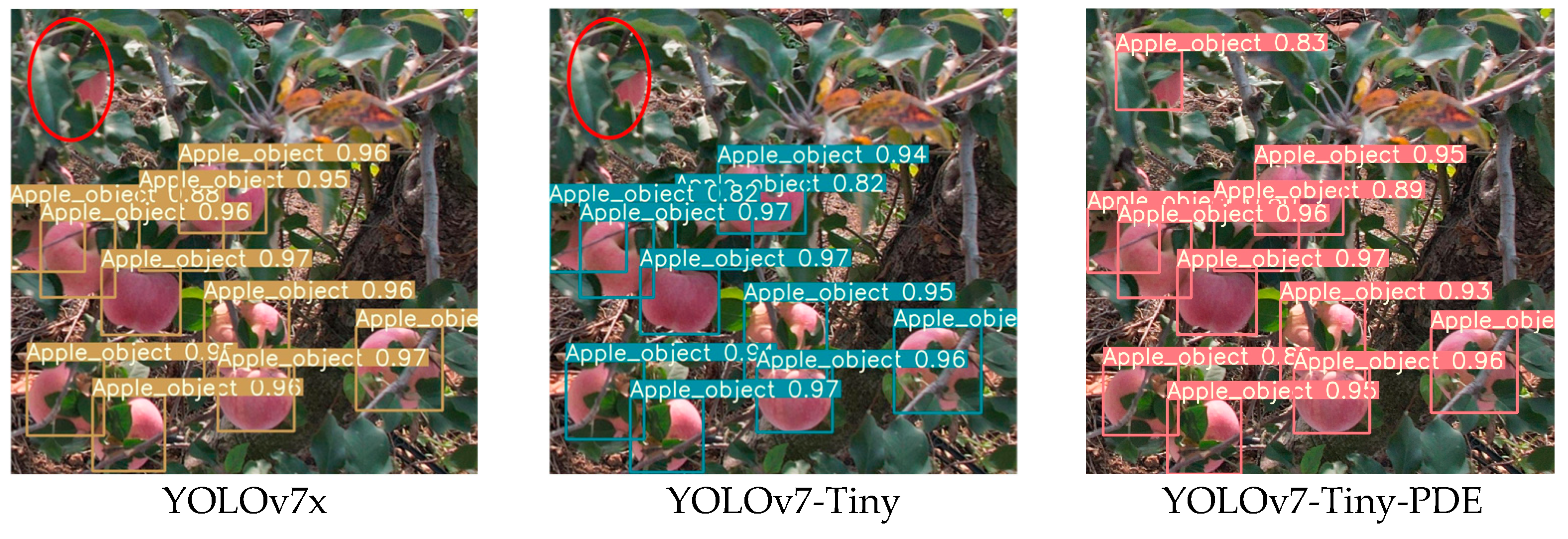 Agriculture 15 00483 g012