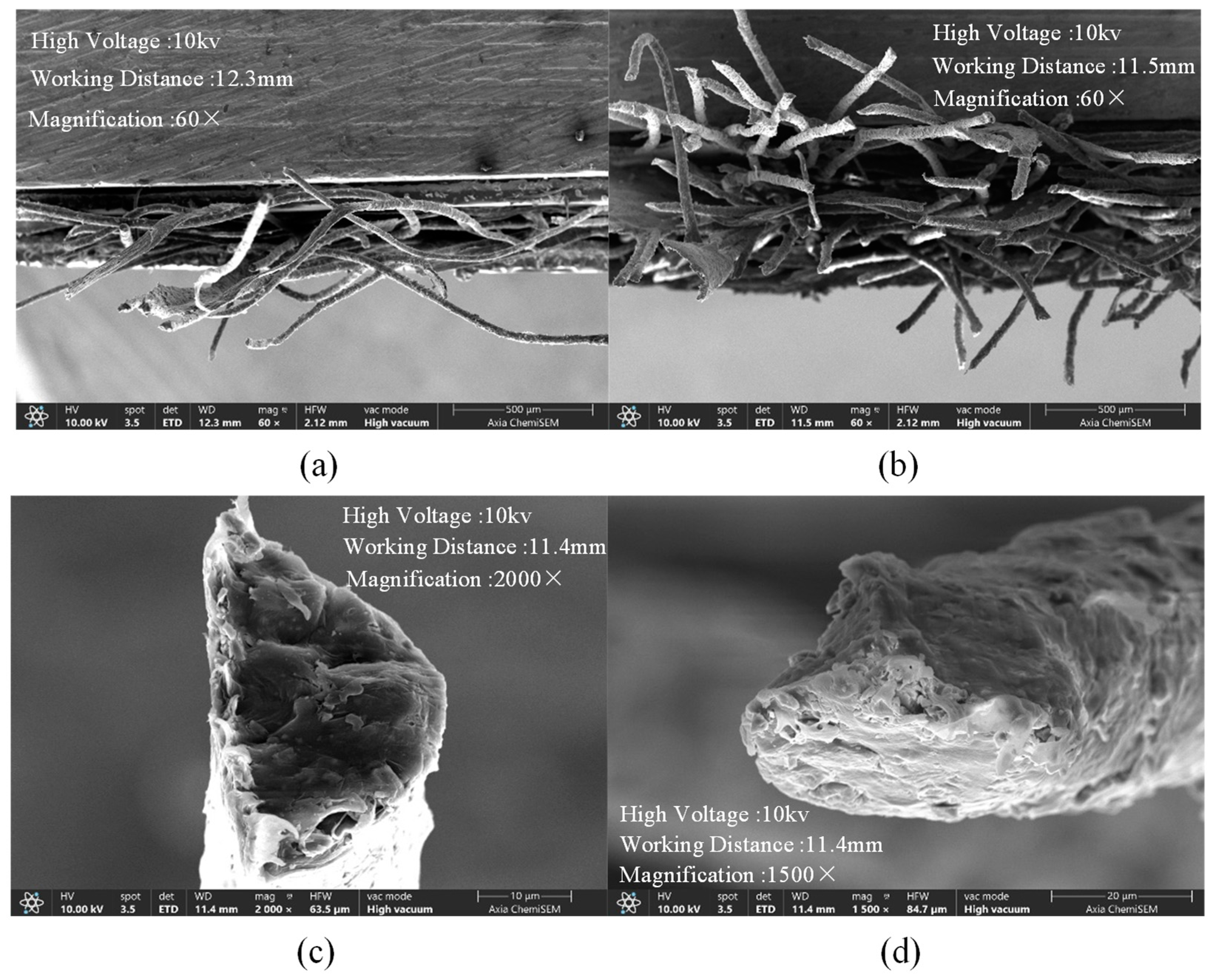 Agriculture 15 00486 g009