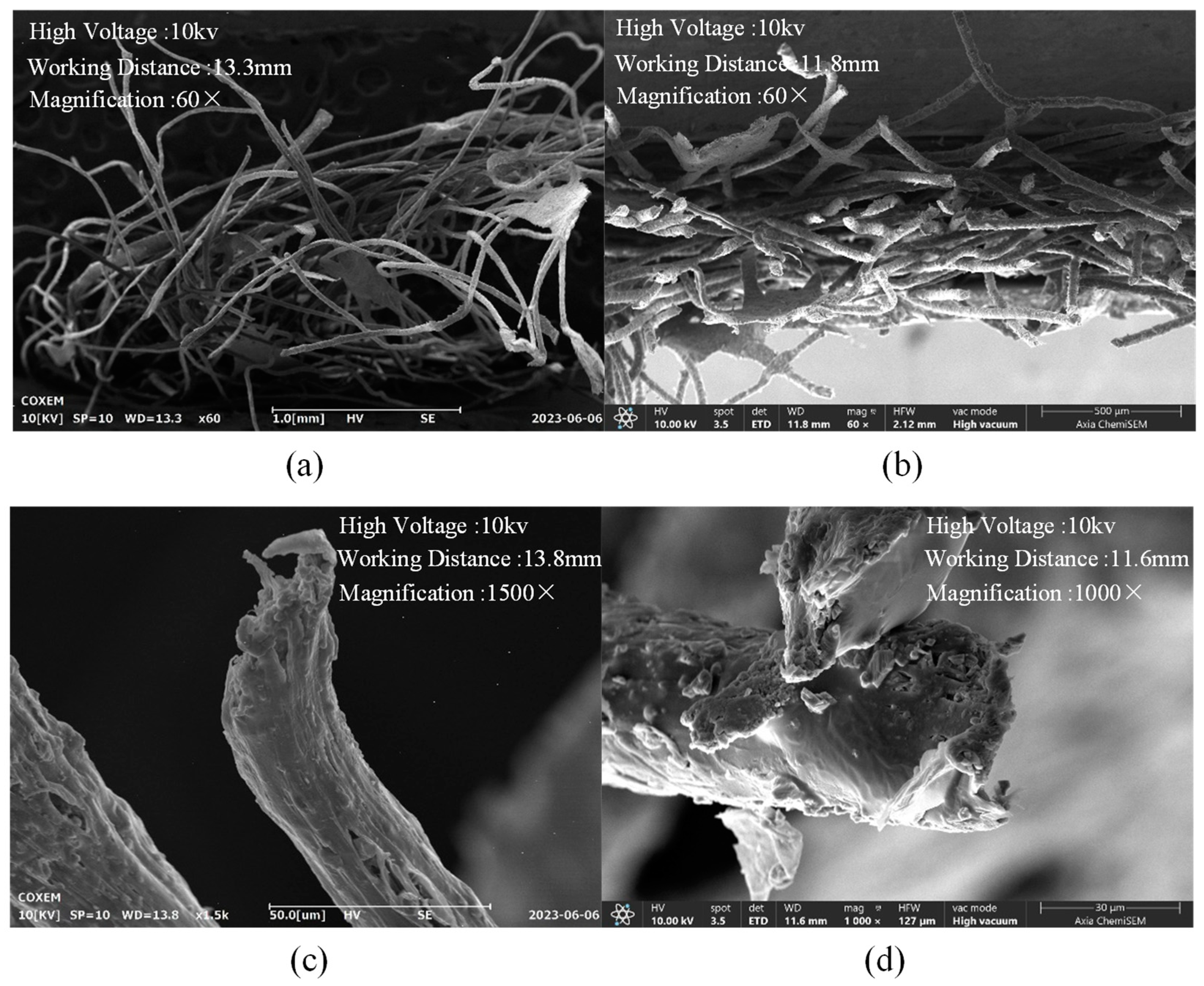 Agriculture 15 00486 g010