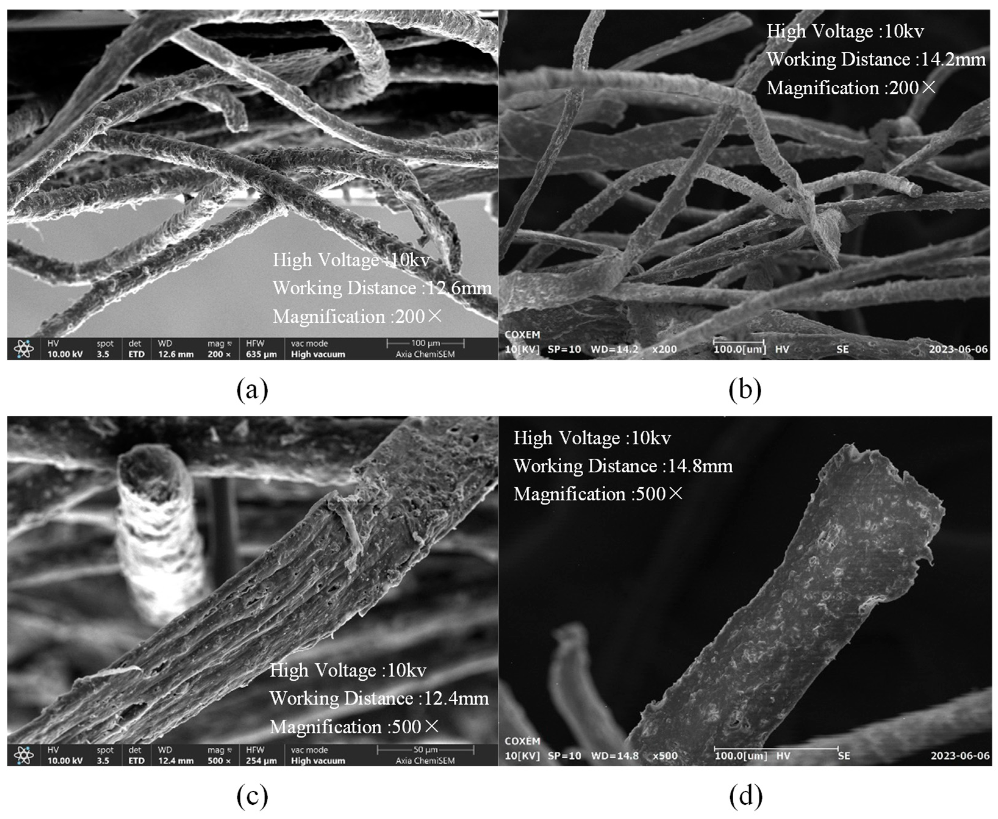 Agriculture 15 00486 g012