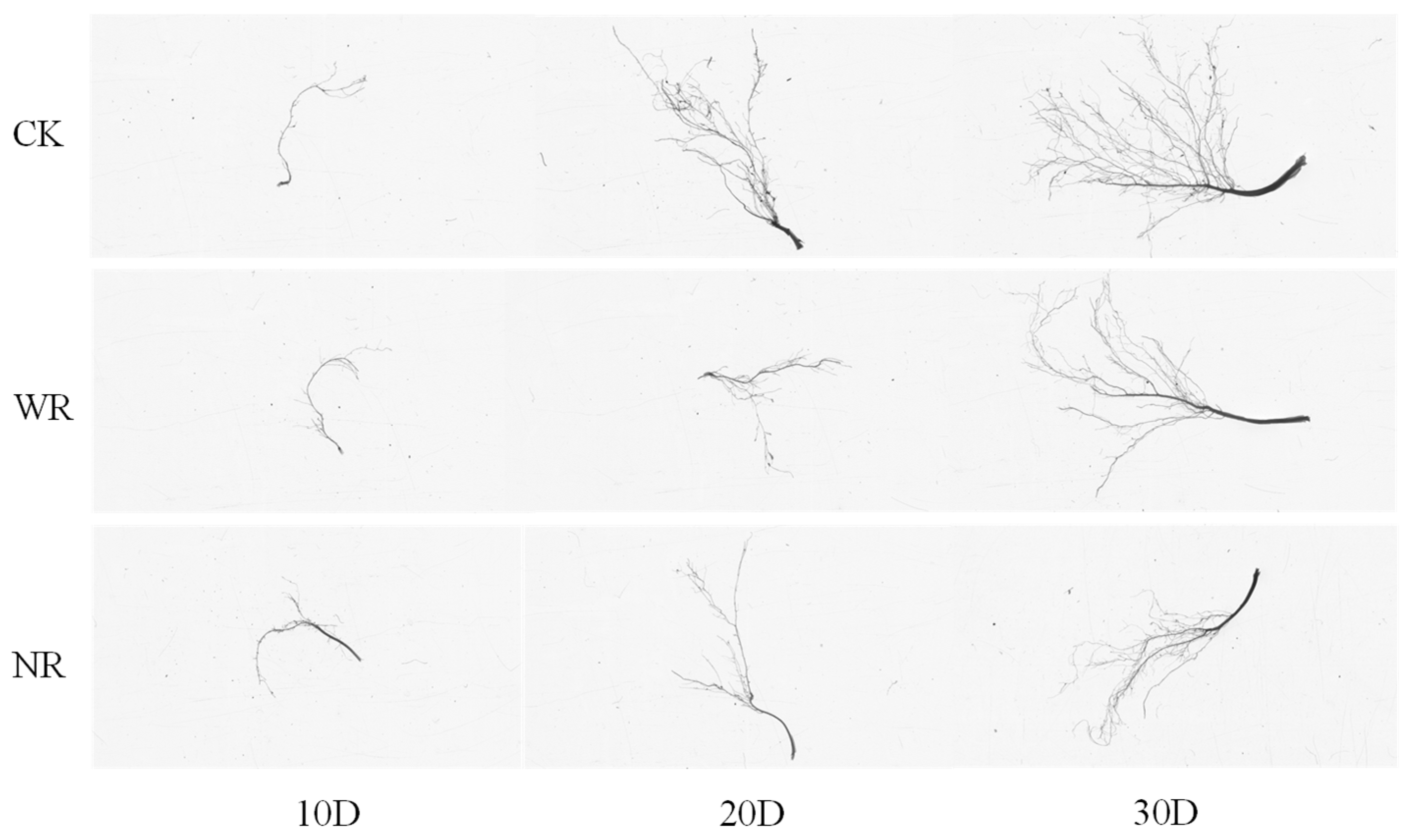 Agriculture 15 00486 g017