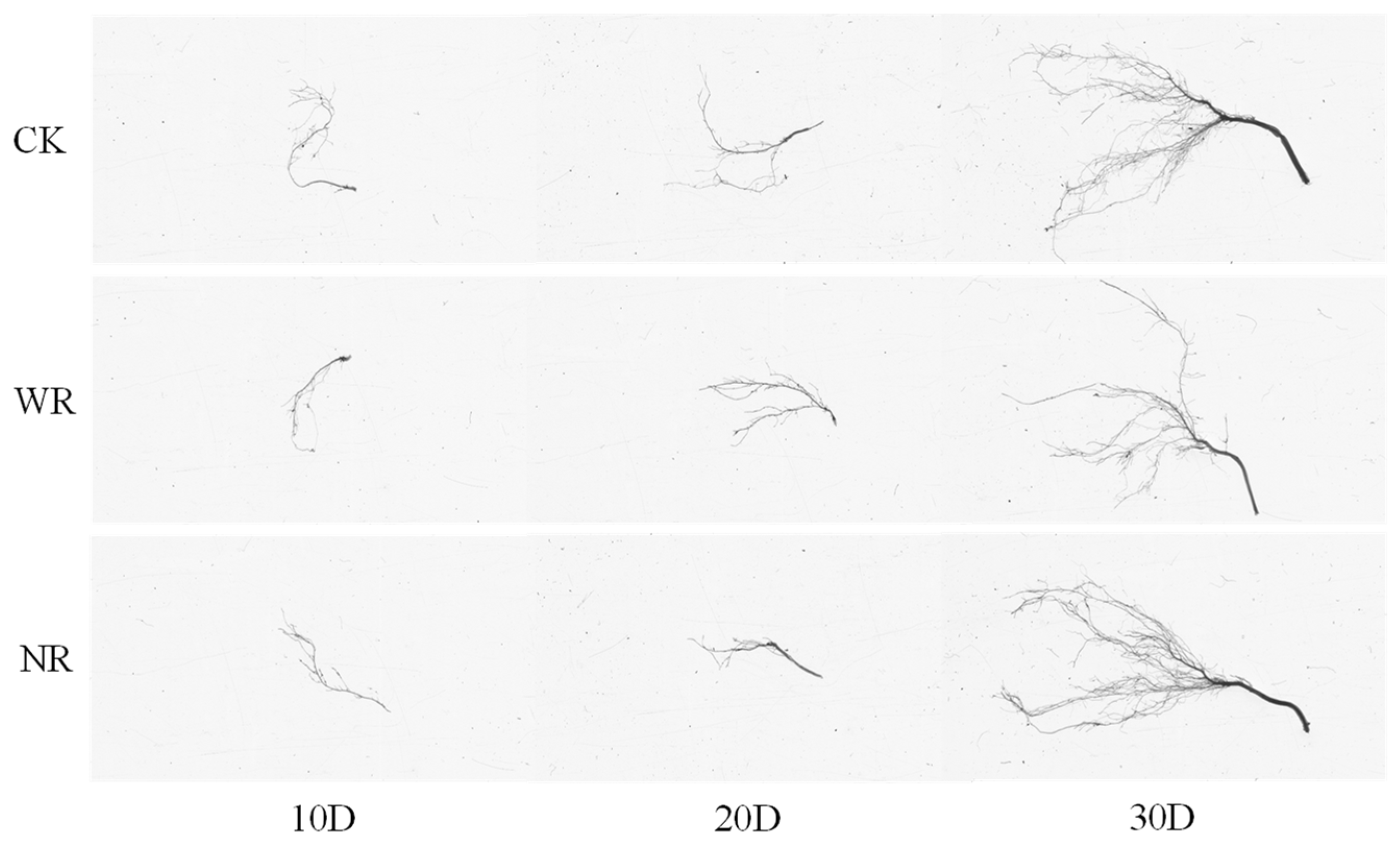 Agriculture 15 00486 g018