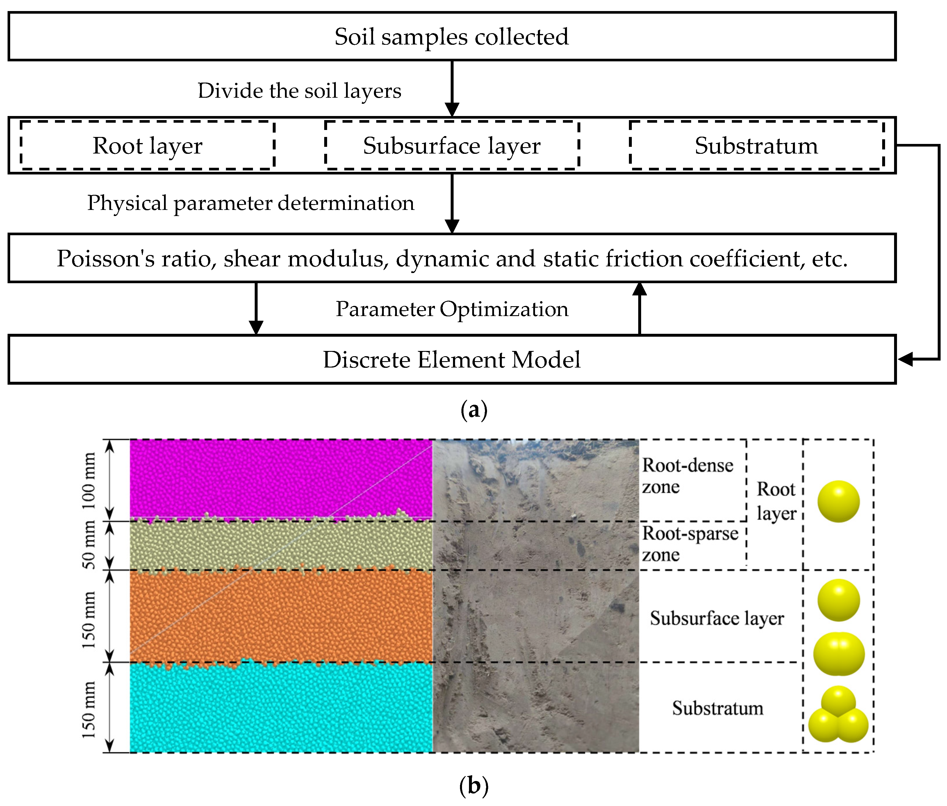 Agriculture 15 00487 g004