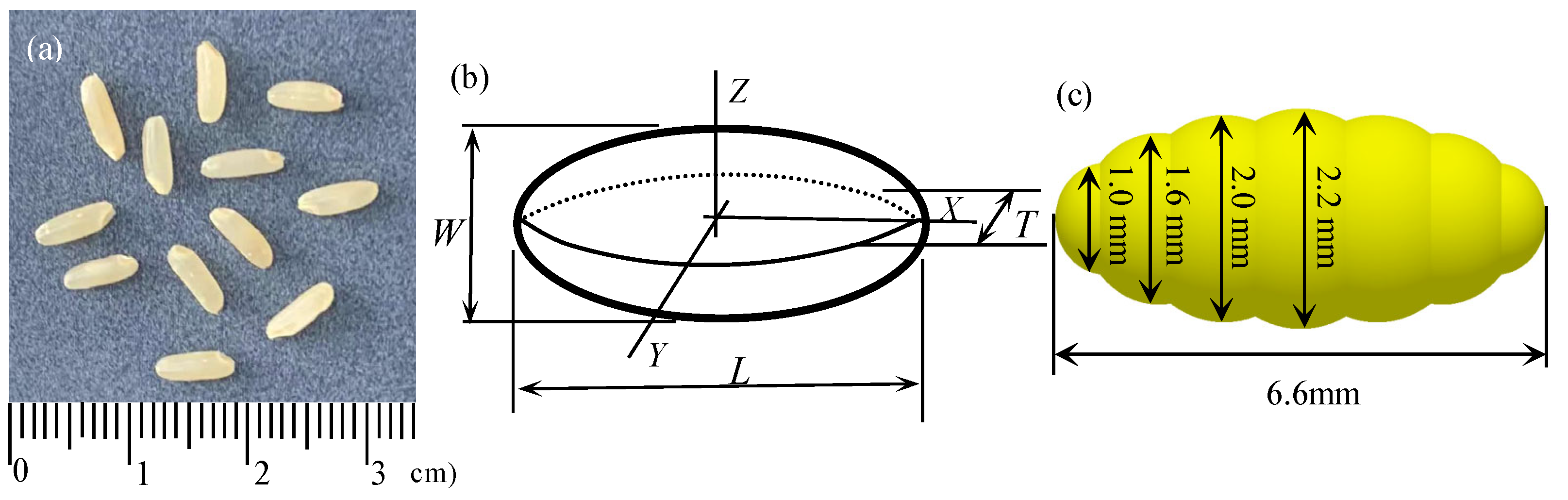 Agriculture 15 00490 g001