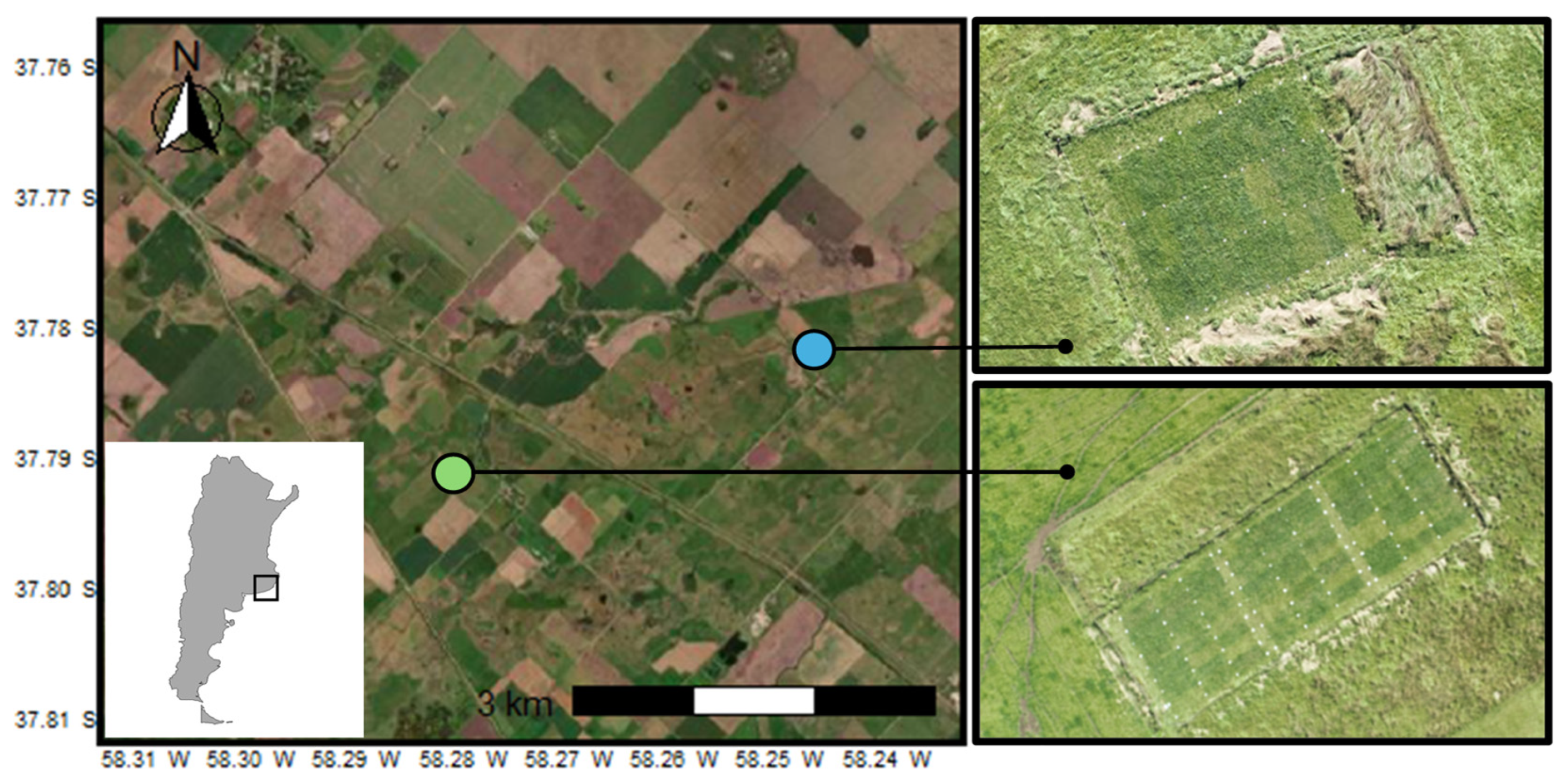 Agriculture 15 00492 g001