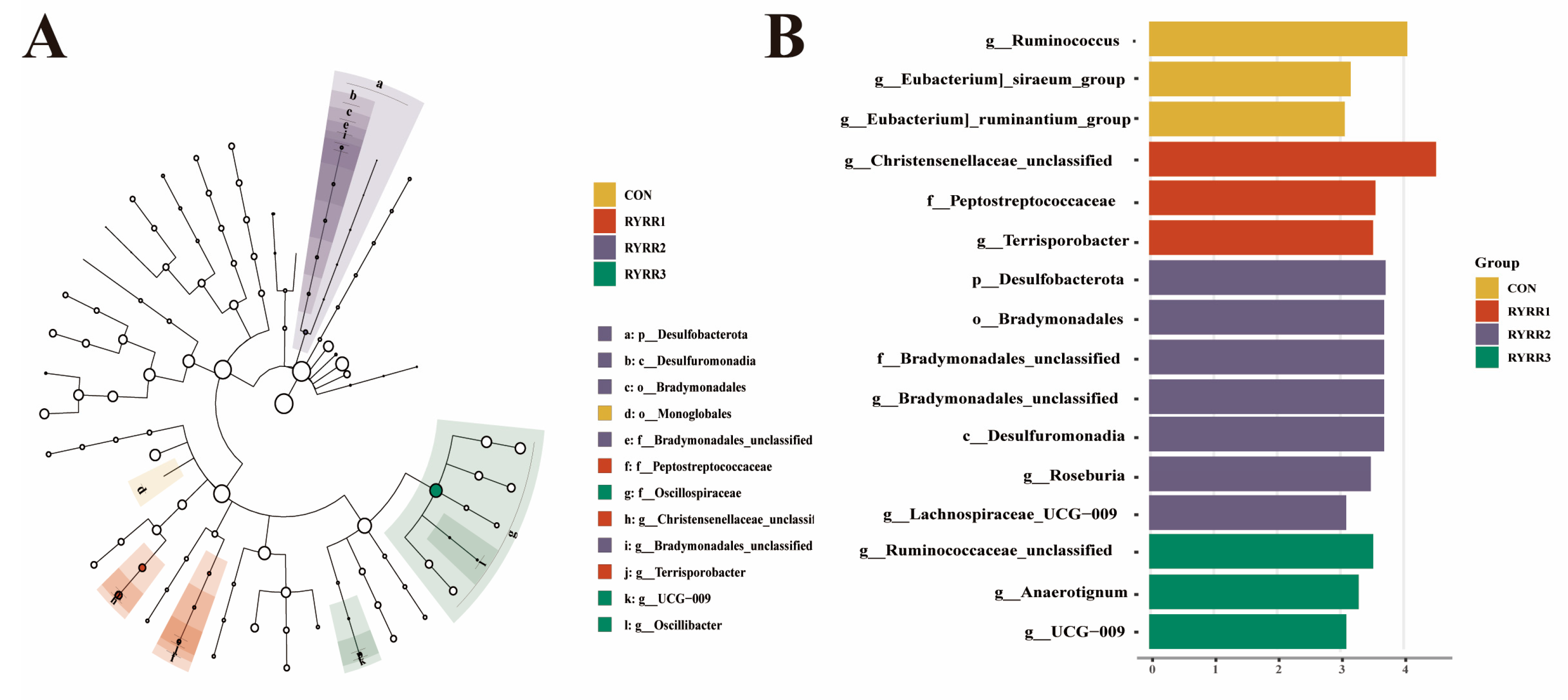 Agriculture 15 00495 g003