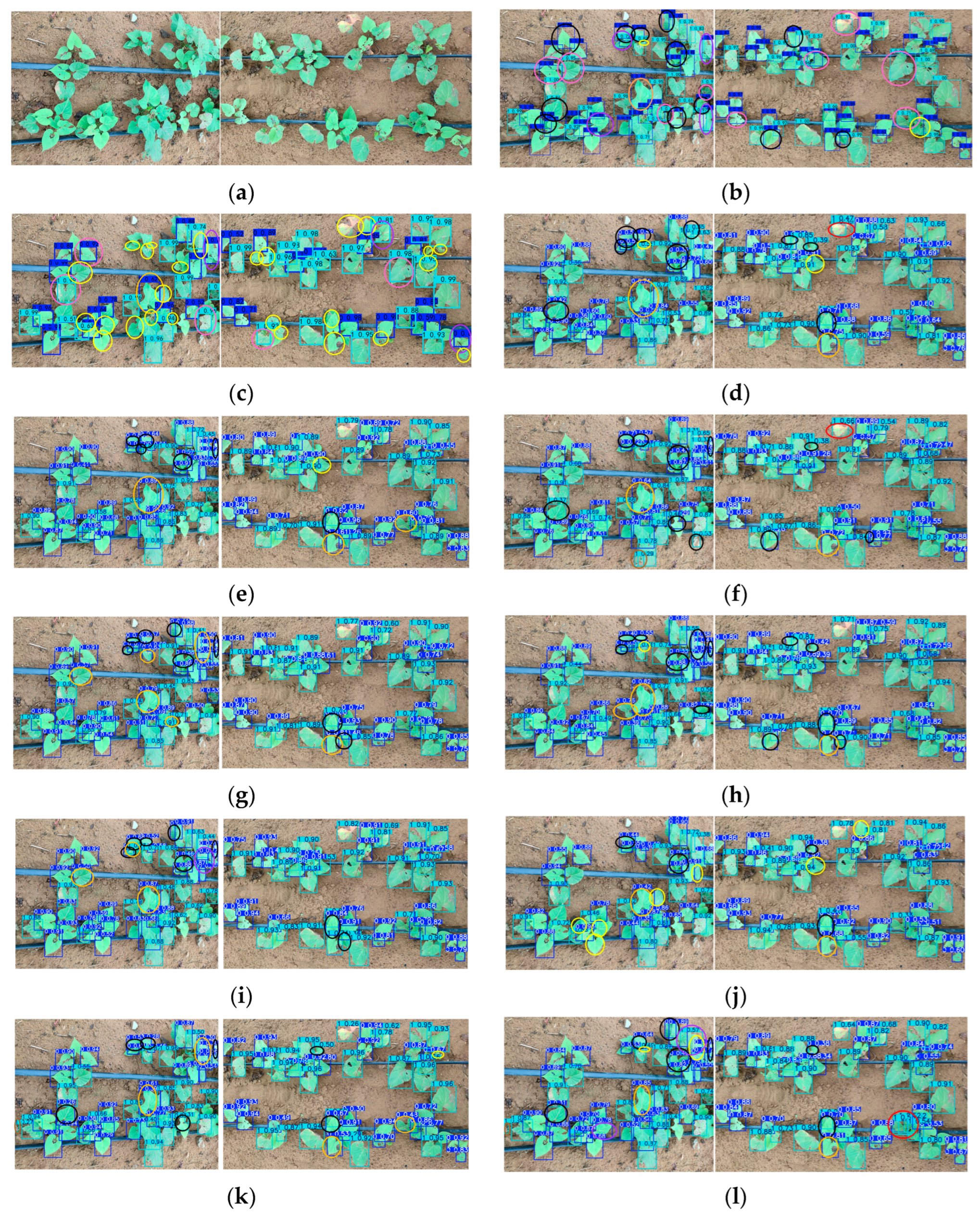 Agriculture 15 00503 g010a