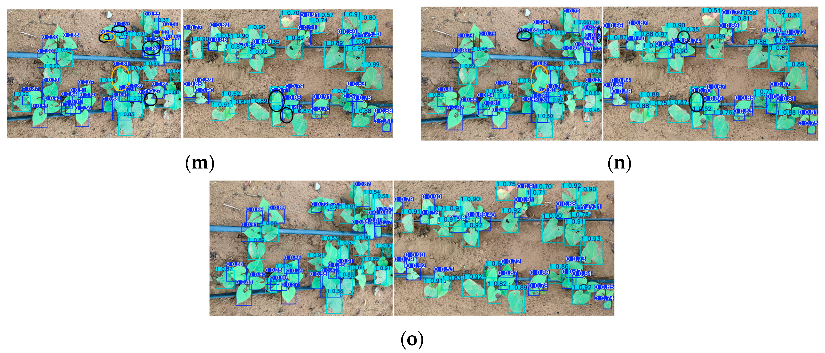 Agriculture 15 00503 g010b