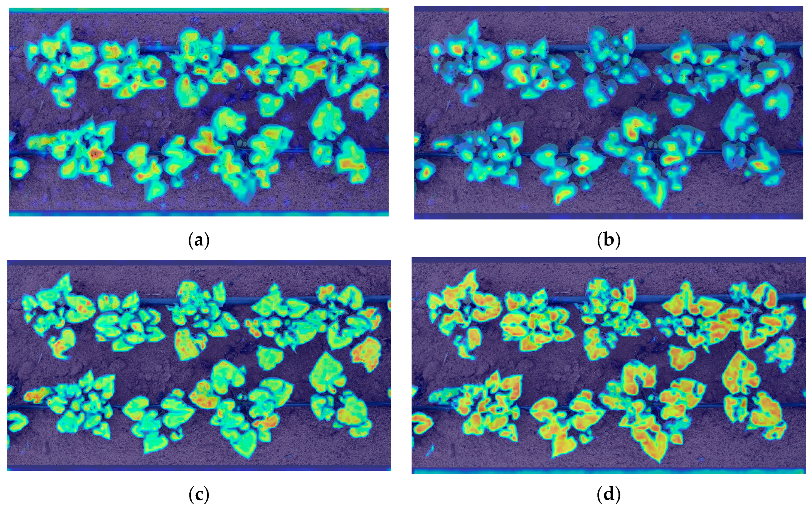 Agriculture 15 00503 g011