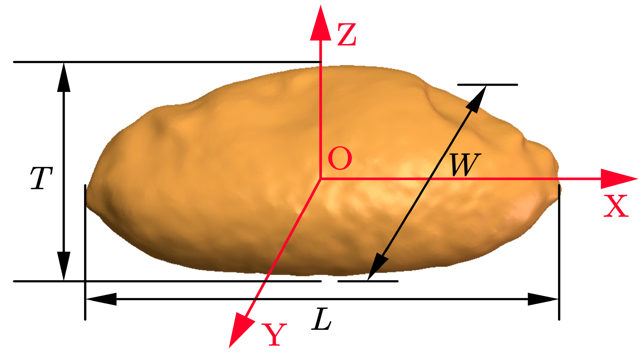 Agriculture 15 00506 g001